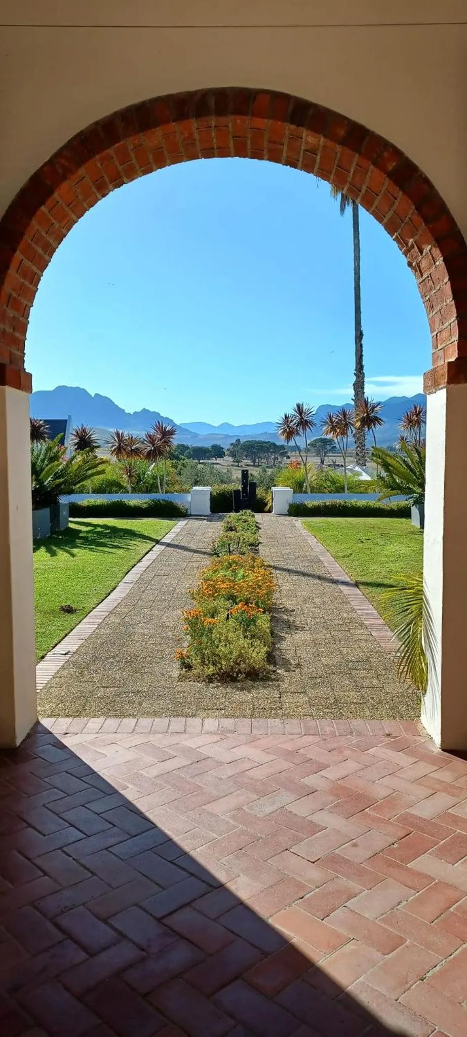 Garden in Wild Mushroom Country House