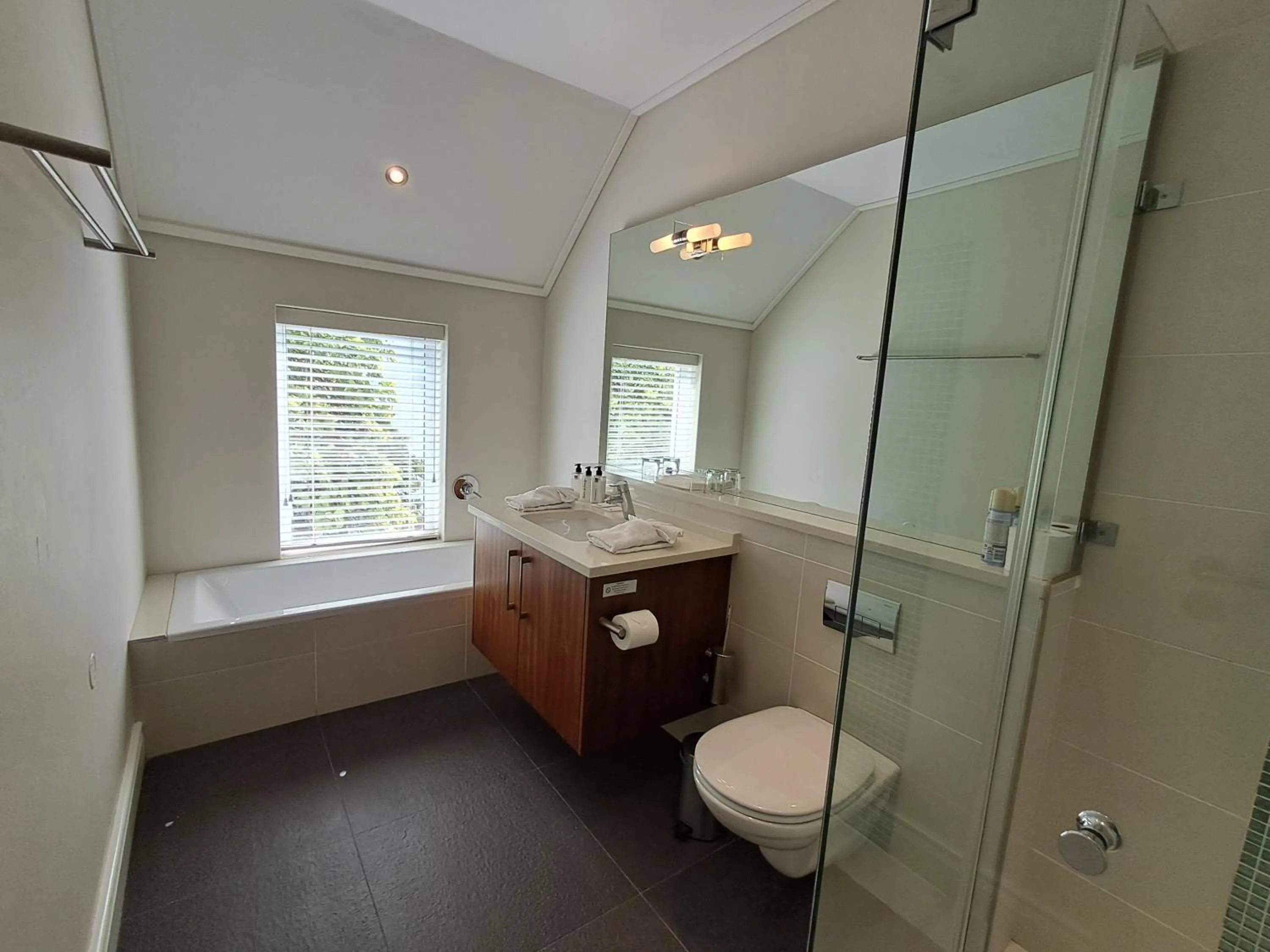 Shower in Wild Mushroom Country House