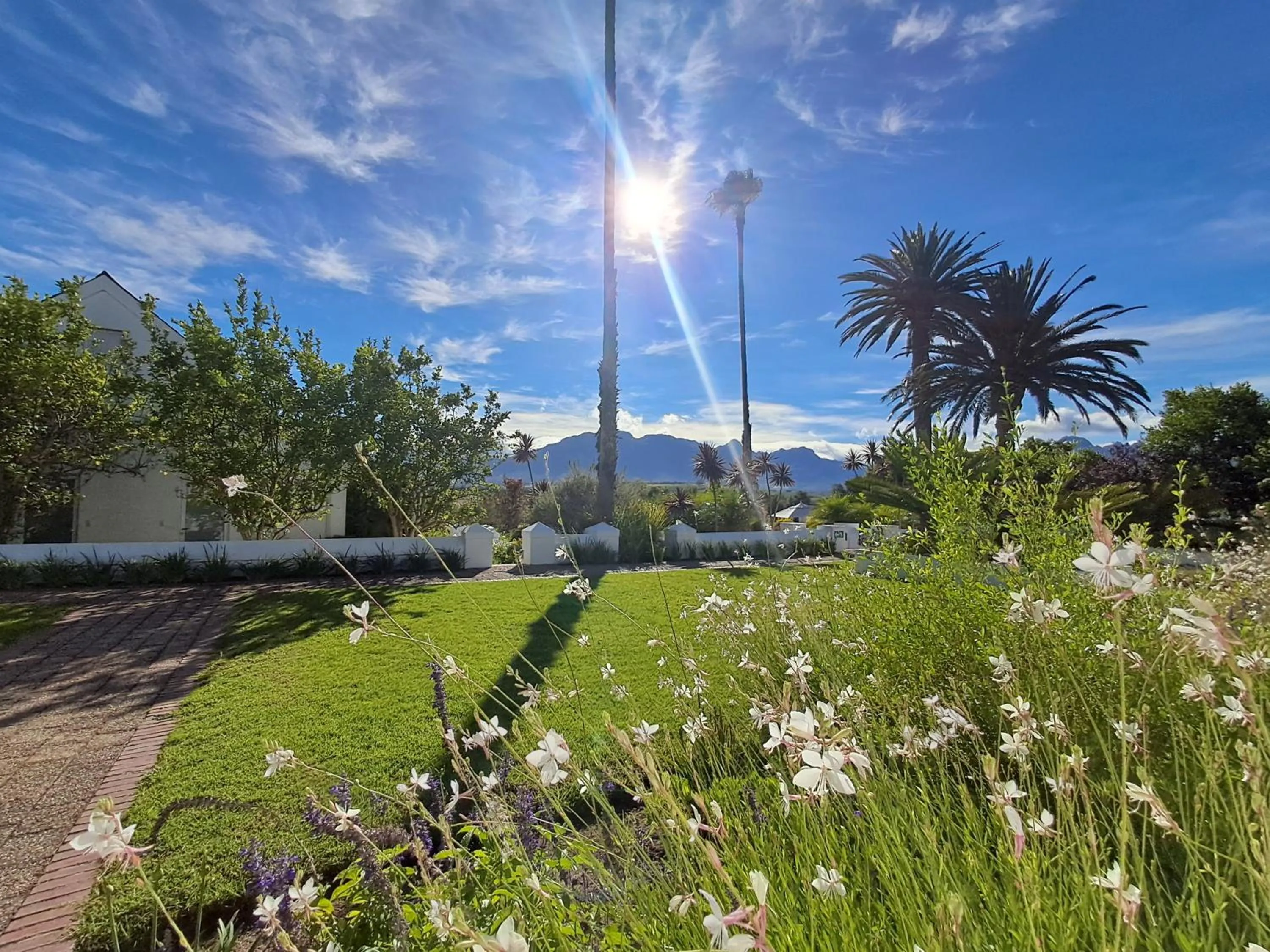 Garden in Wild Mushroom Country House