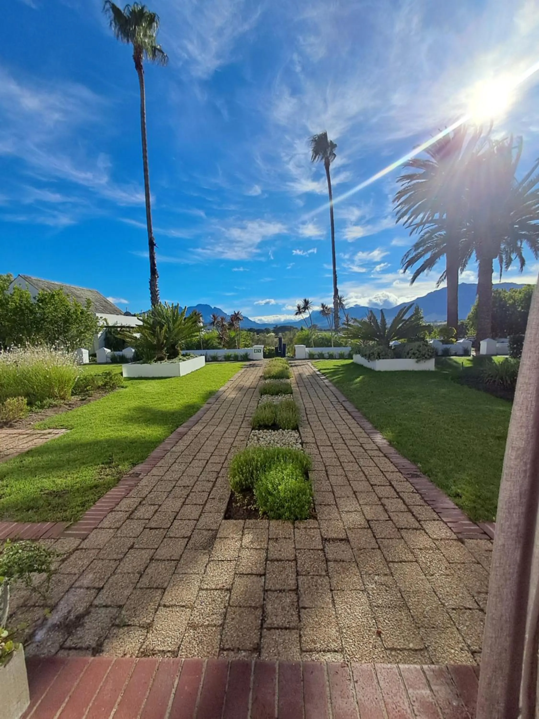 Garden view in Wild Mushroom Country House