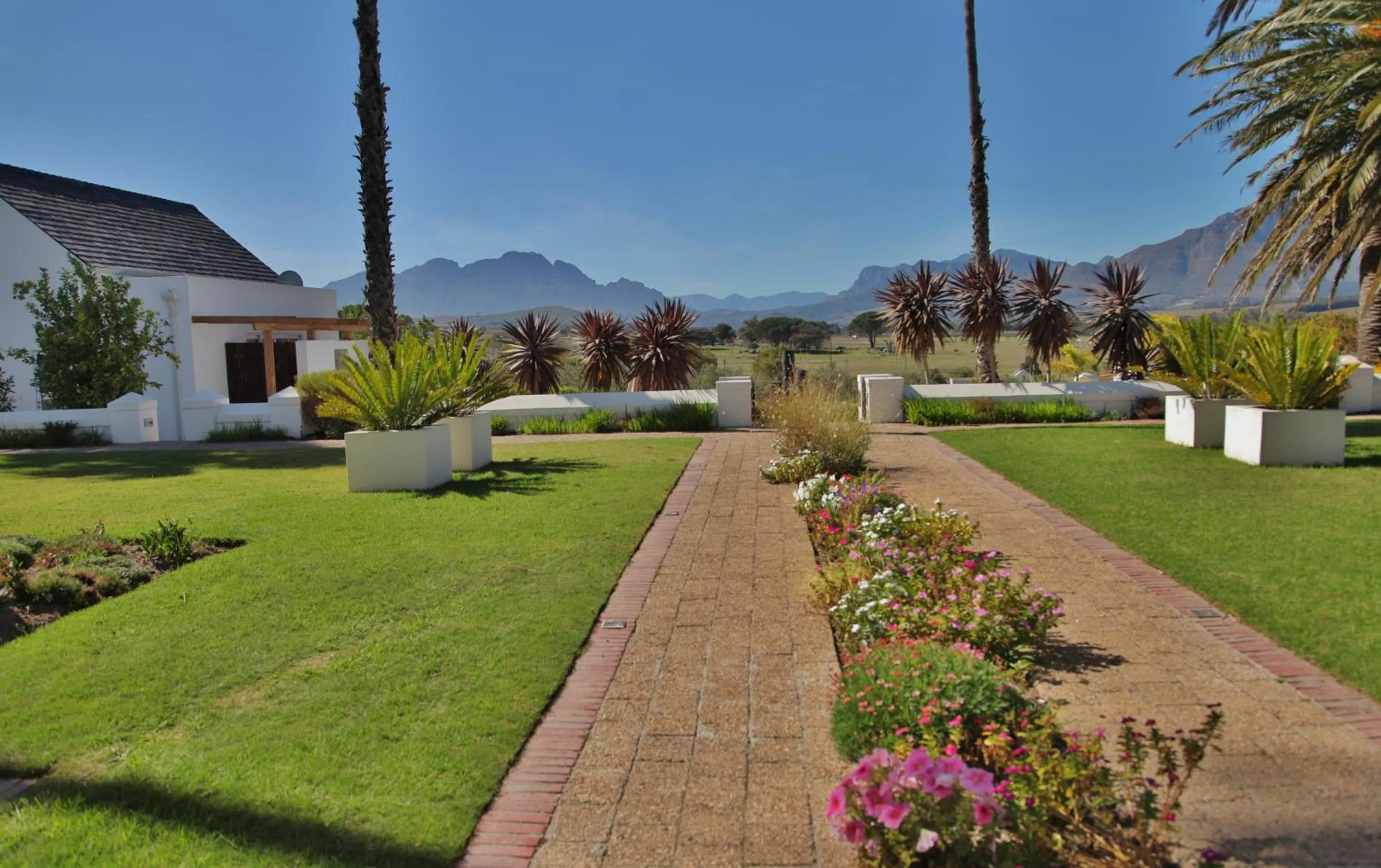 Day in Wild Mushroom Country House