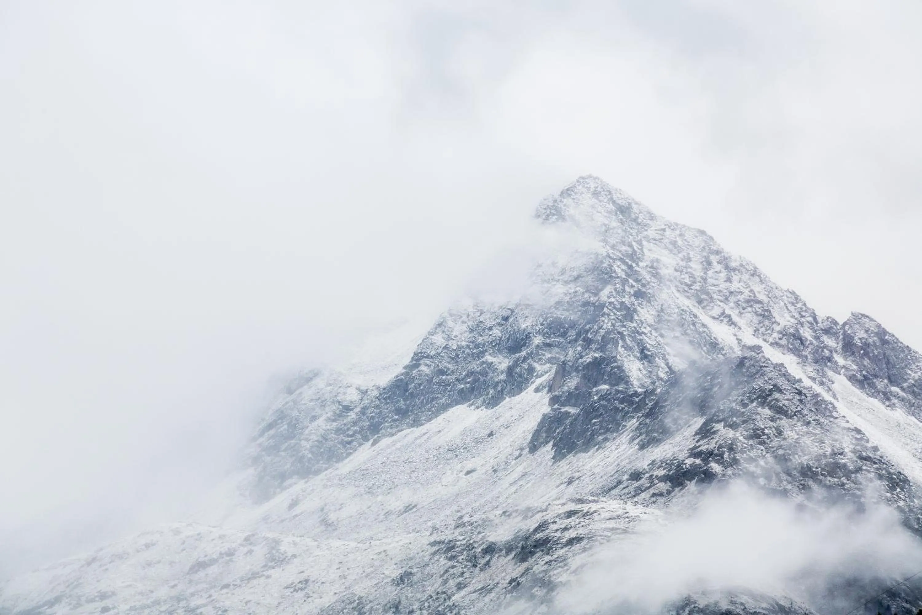 Area and facilities in Hotel Alpenhof