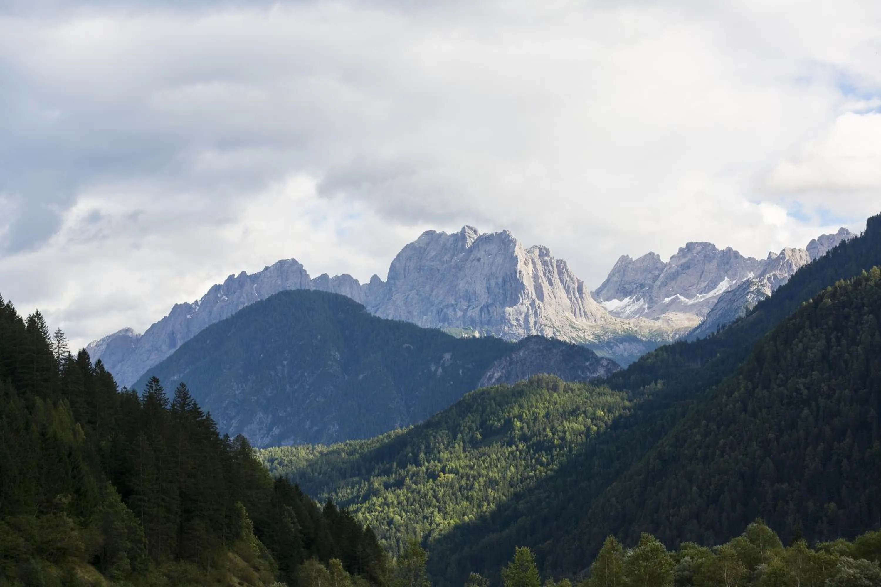 Area and facilities in Hotel Alpenhof