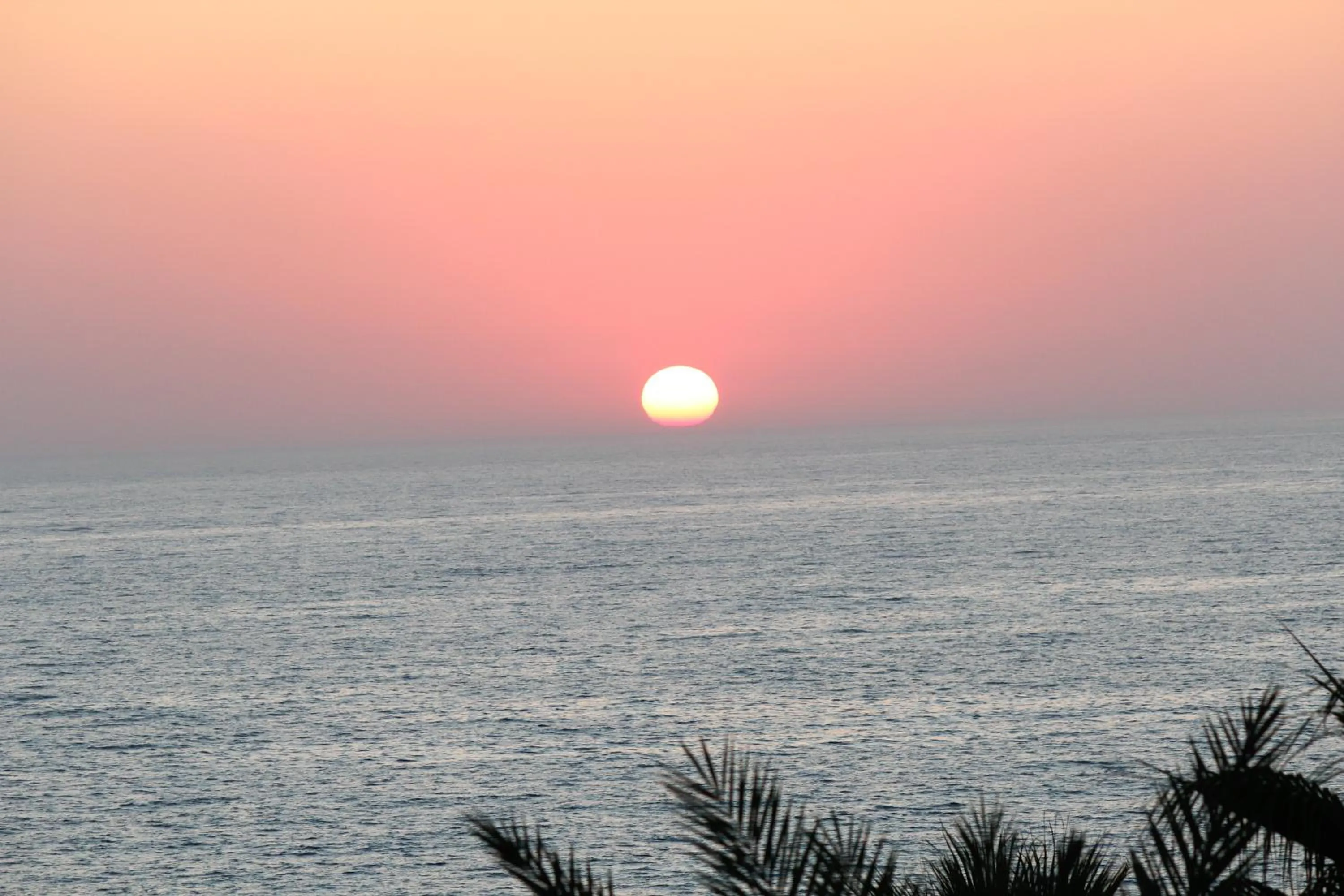 Area and facilities in Helios Bay Hotel and Suites