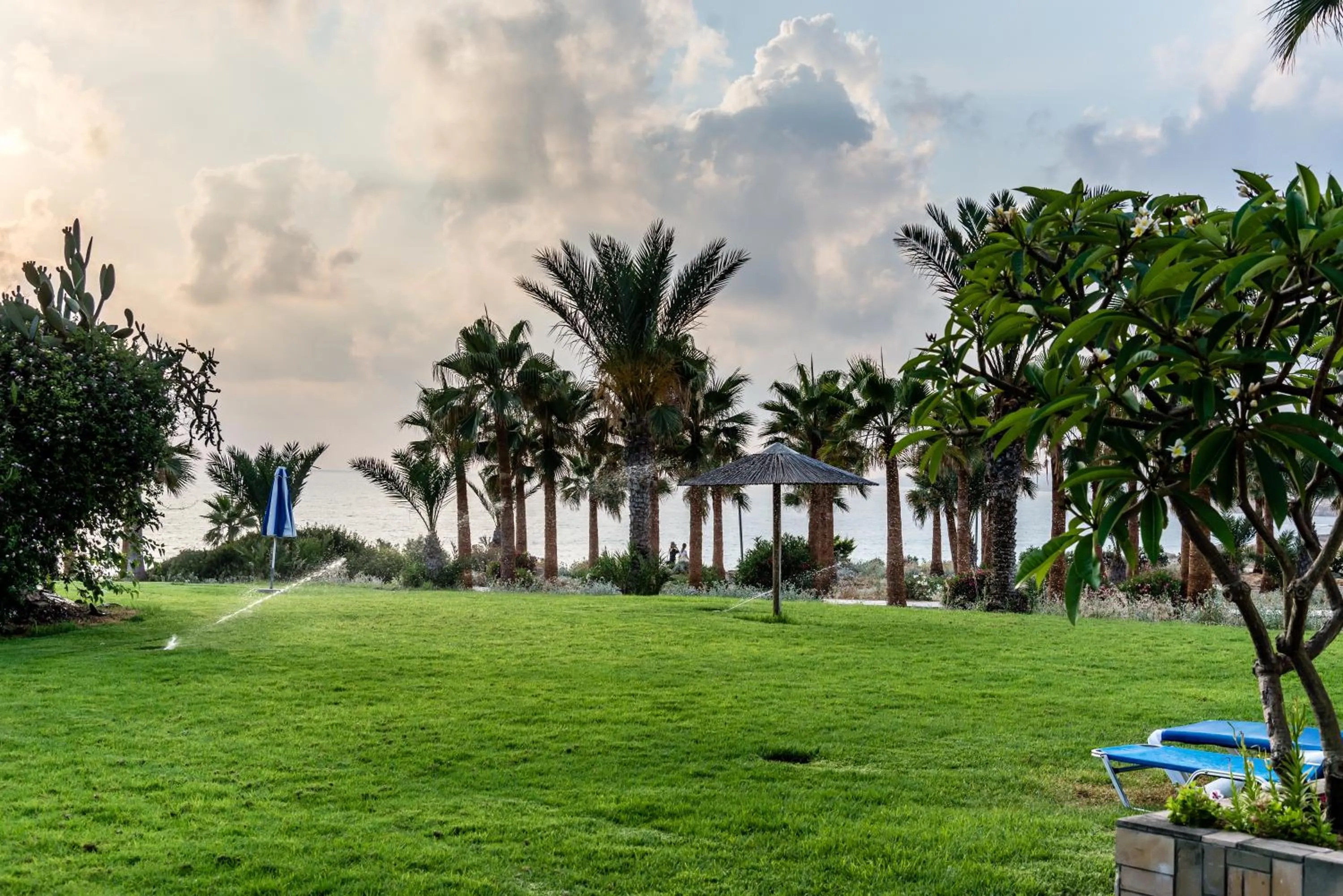 Natural landscape in Helios Bay Hotel and Suites