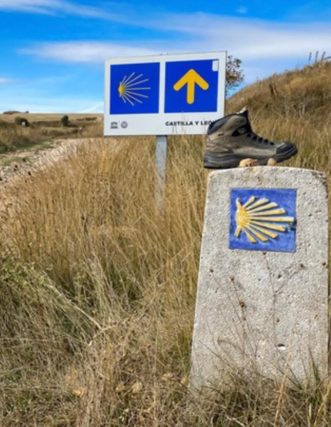 " Venez DormiR Chez Nous " #Condom#Gascogne#d'Artagnan#Armagnac#Le Bonheur est dans le GERS