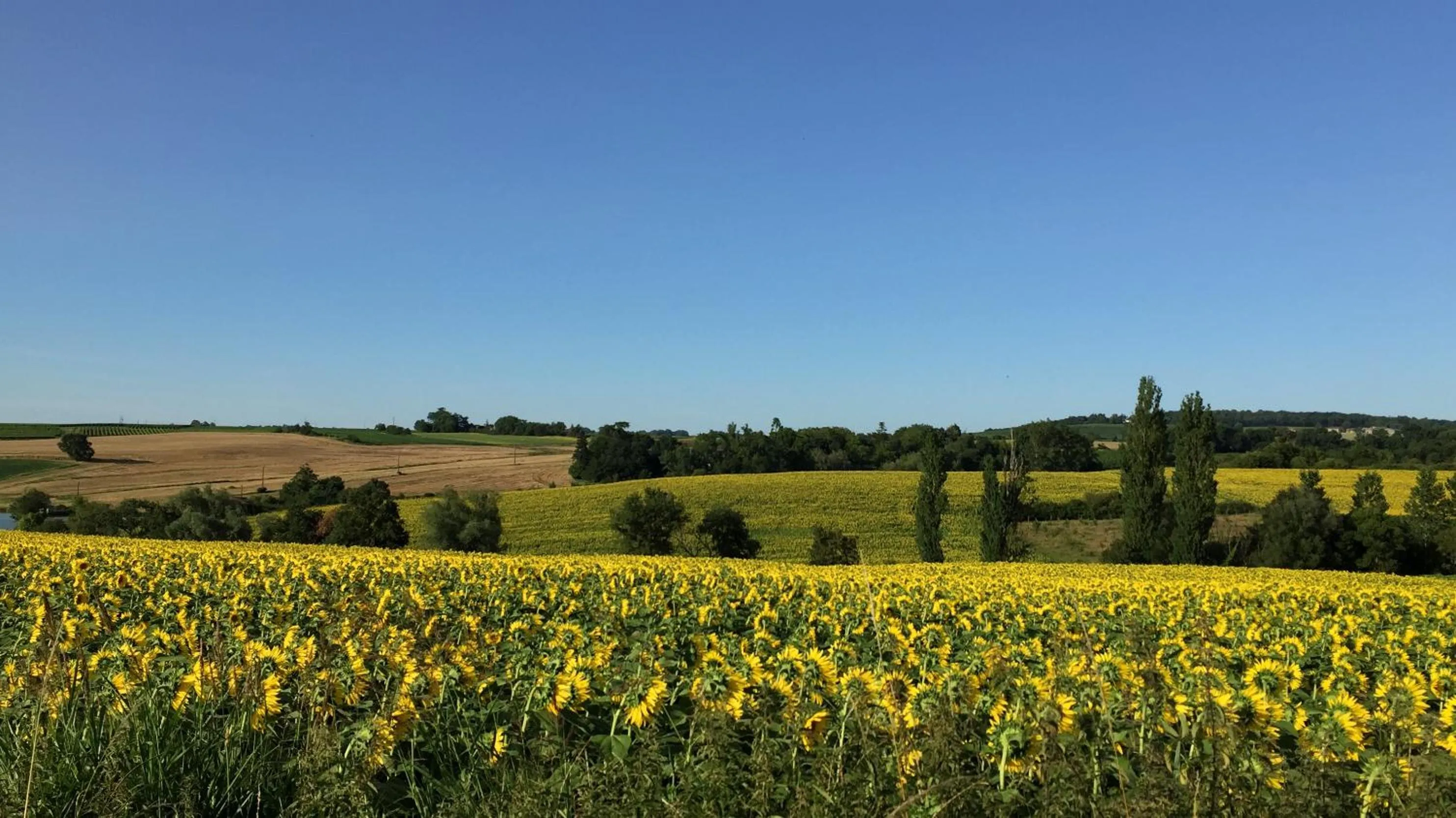 " Venez DormiR Chez Nous " #Condom#Gascogne#d'Artagnan#Armagnac#Le Bonheur est dans le GERS