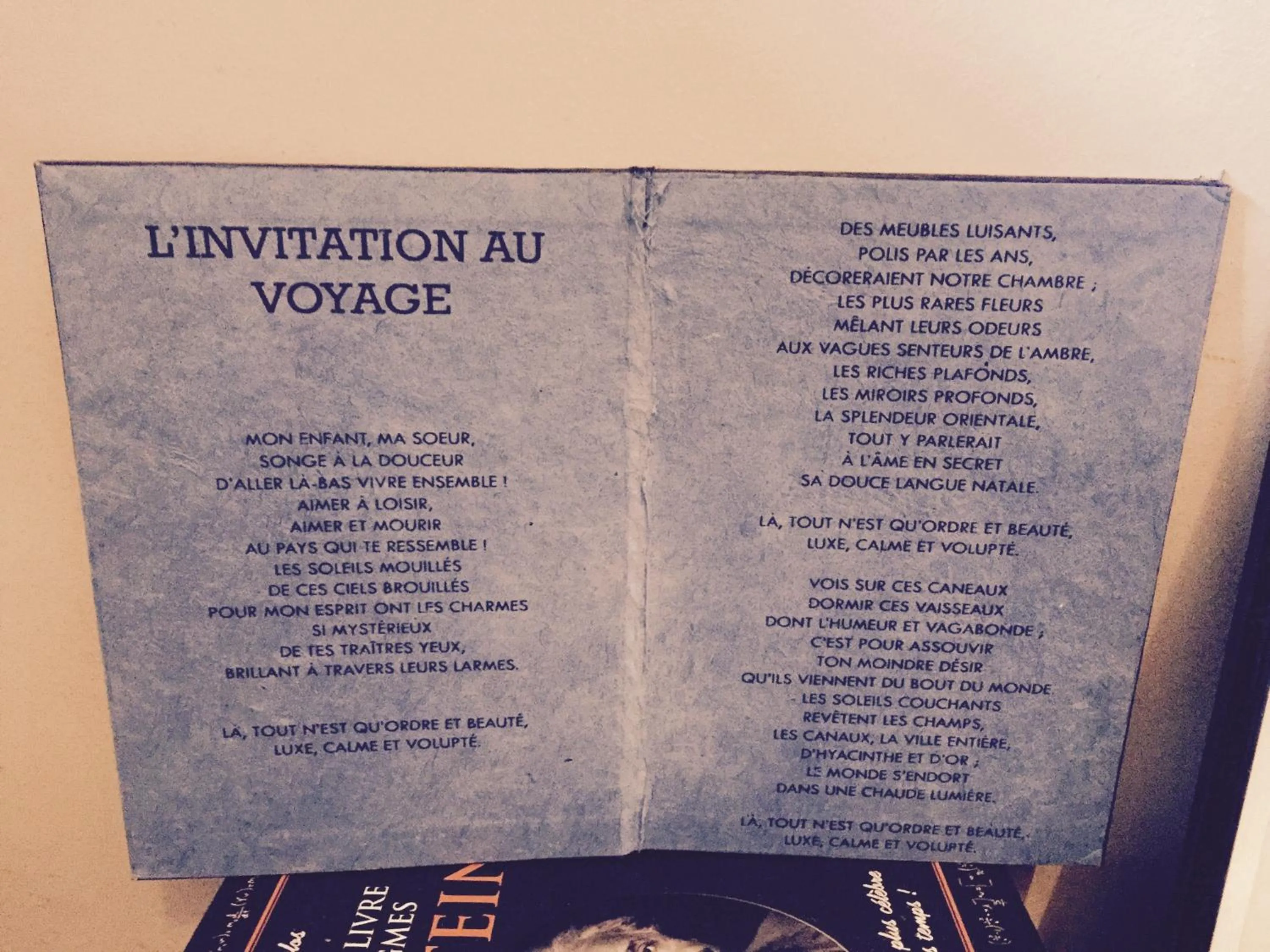 Logo/Certificate/Sign in " Venez DormiR Chez Nous " #Condom#Gascogne#d'Artagnan#Armagnac#Le Bonheur est dans le GERS