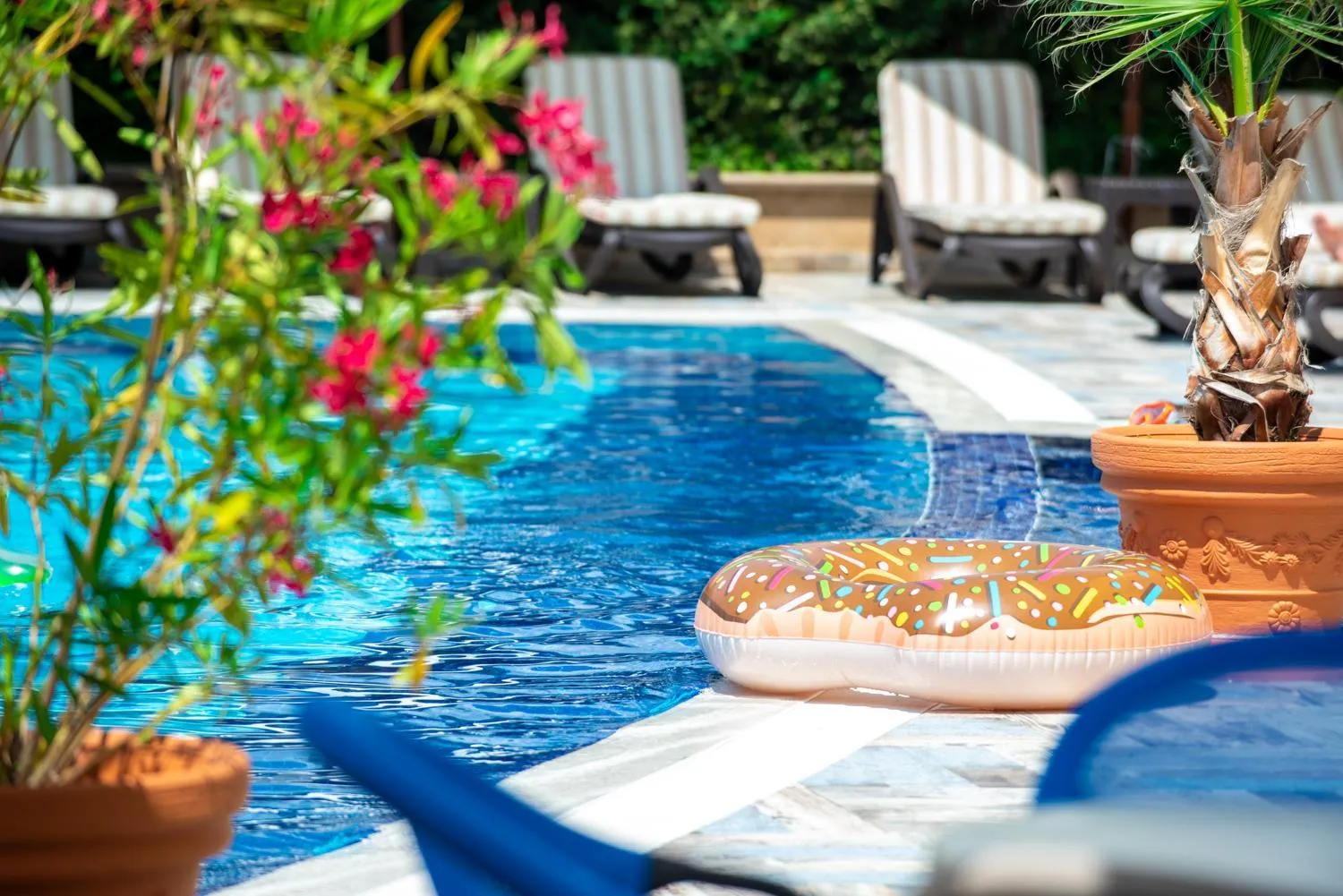 Swimming pool in Siena Palace