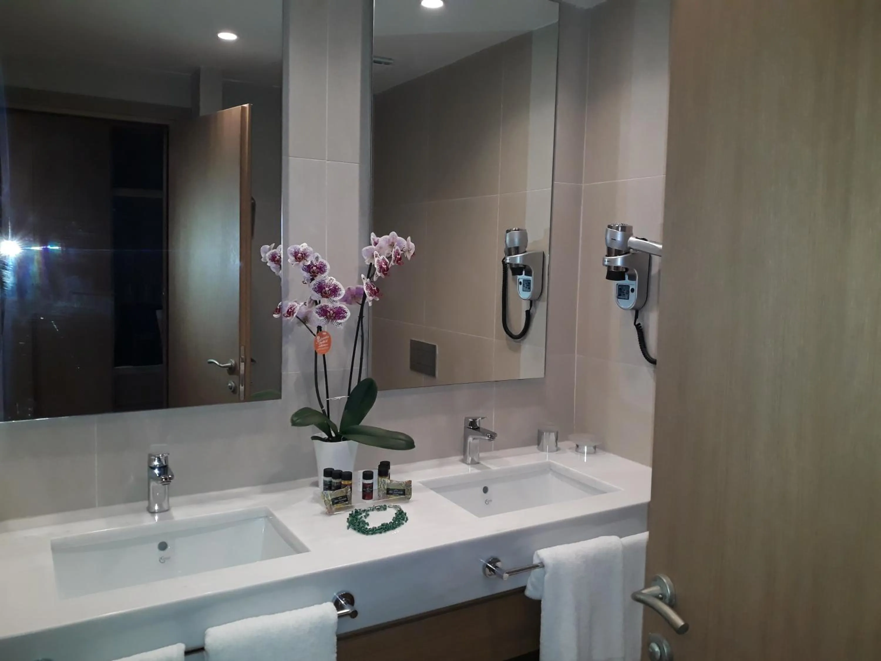 Bathroom in Apollonion Asterias Resort and Spa