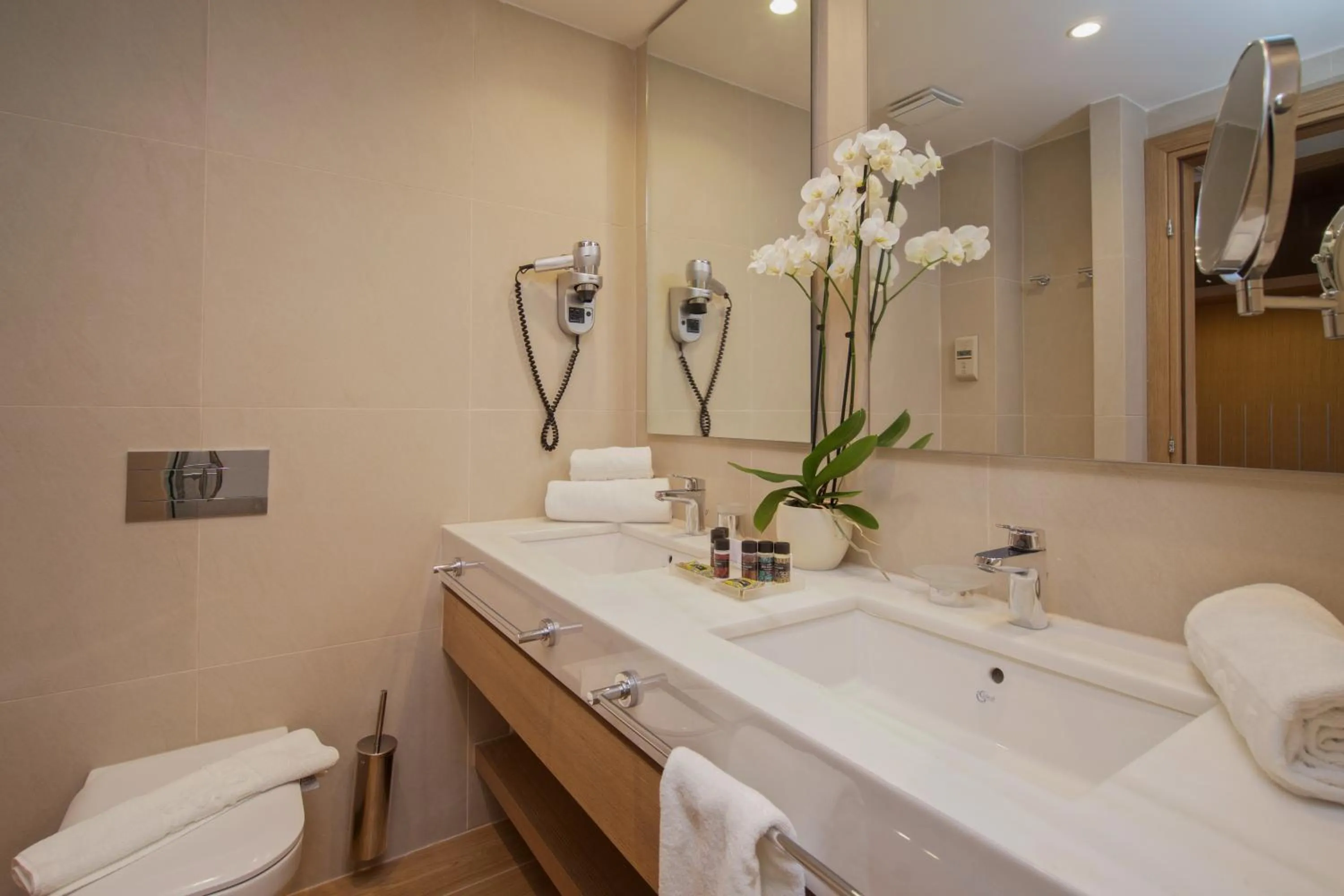 Bathroom in Apollonion Asterias Resort and Spa