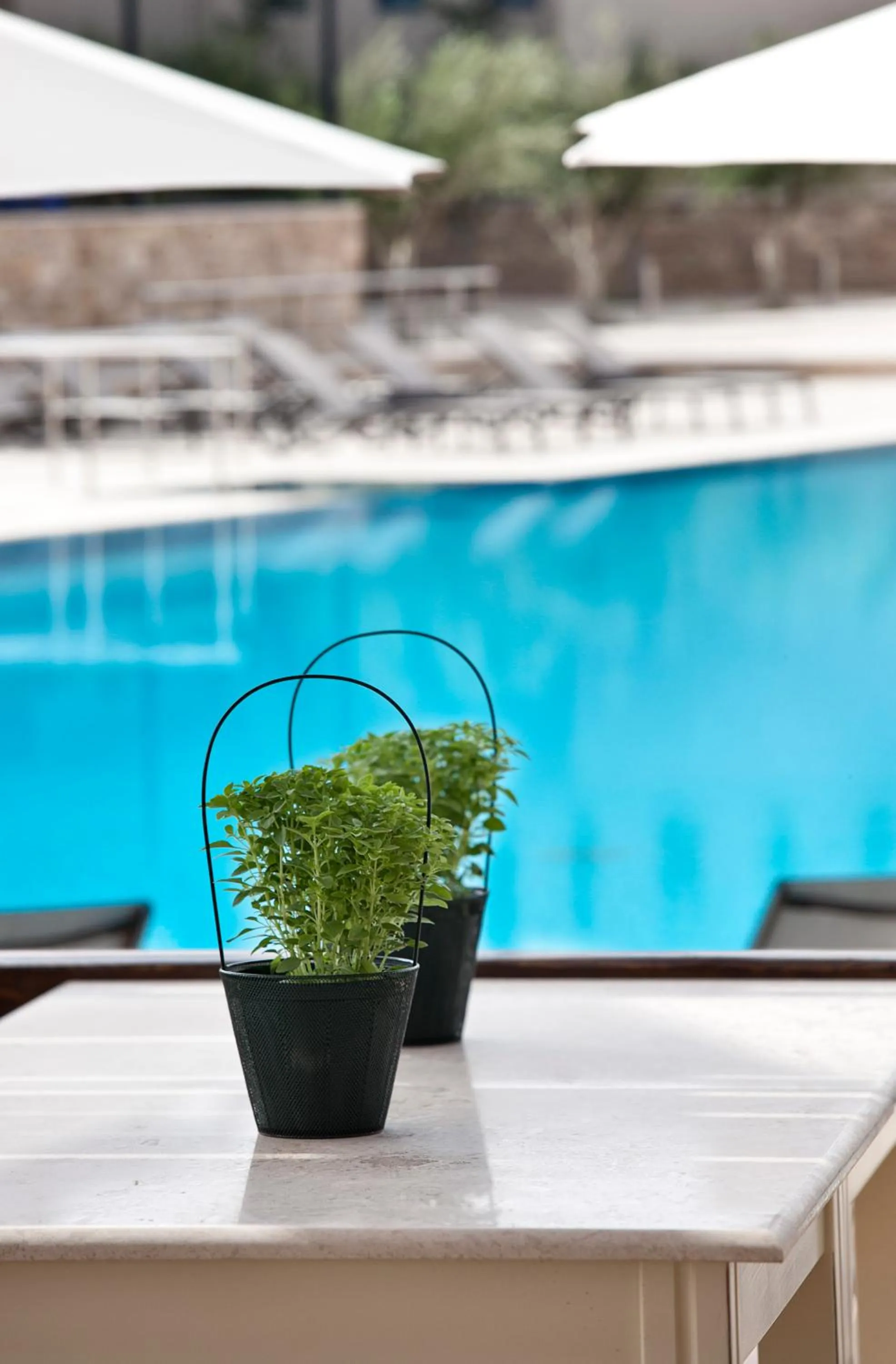 Swimming pool in Apollonion Asterias Resort and Spa