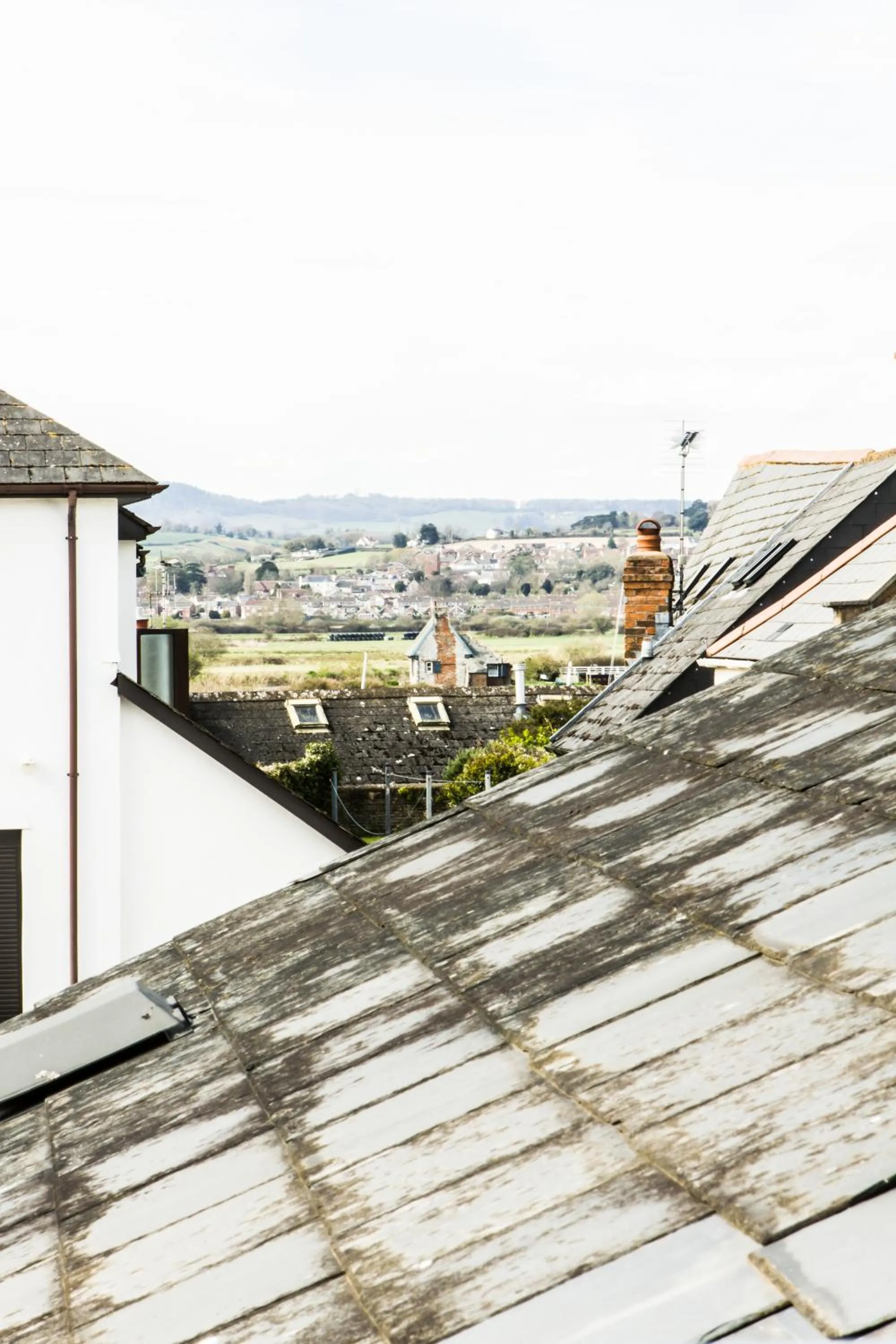 Day in The Salutation Inn