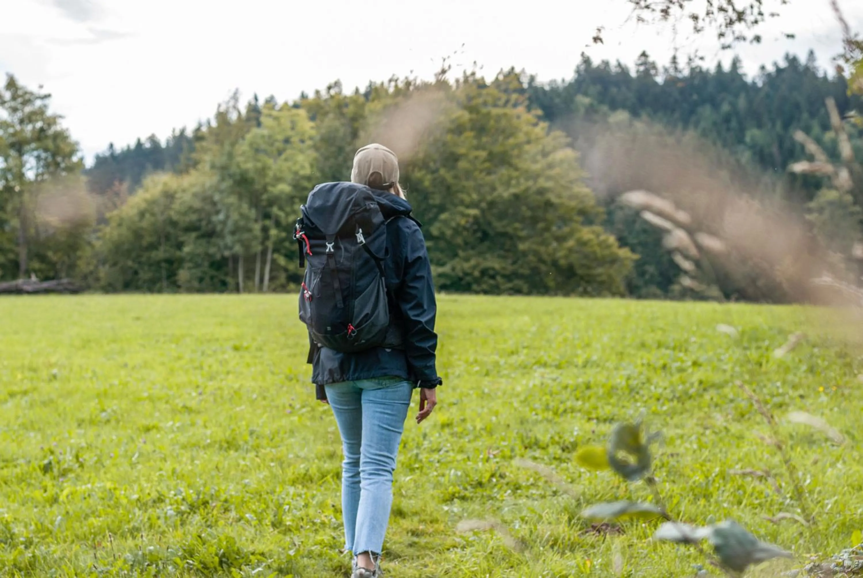 Hiking in Tailormade Hotel SIHLPARK Schindellegi