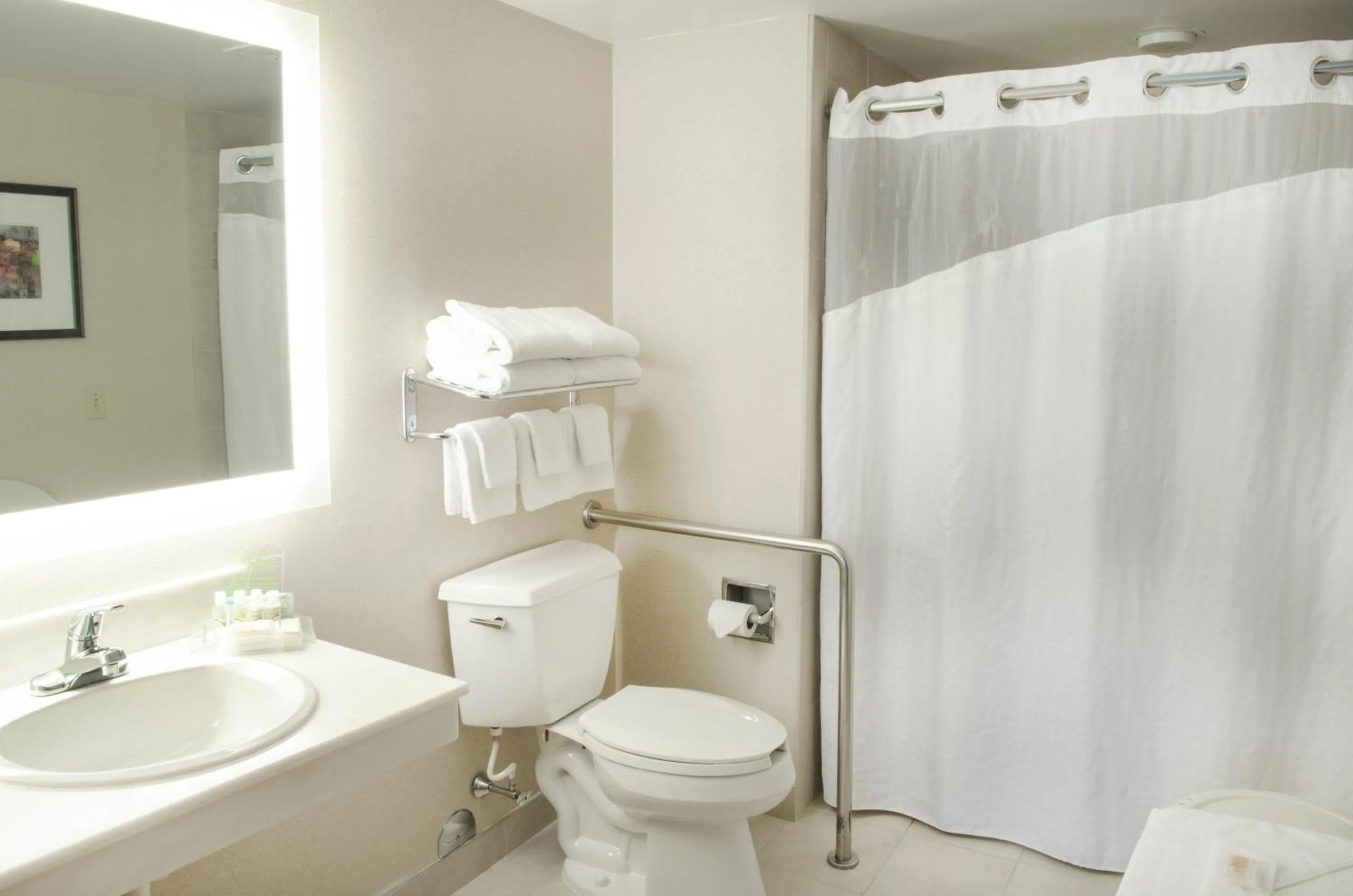 Bathroom in Holiday Inn Fargo by IHG