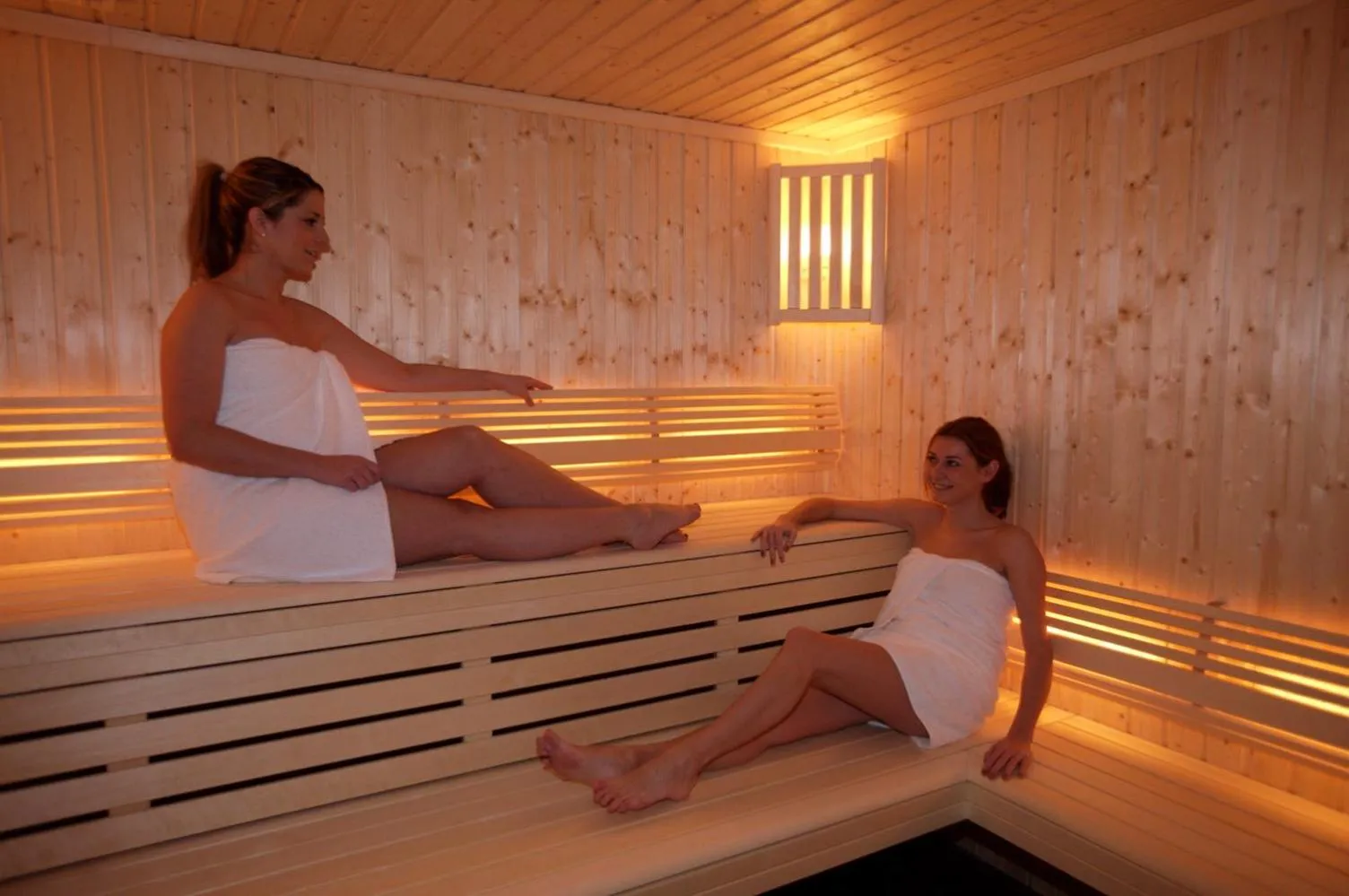 Sauna in Hotel Le Samoyede