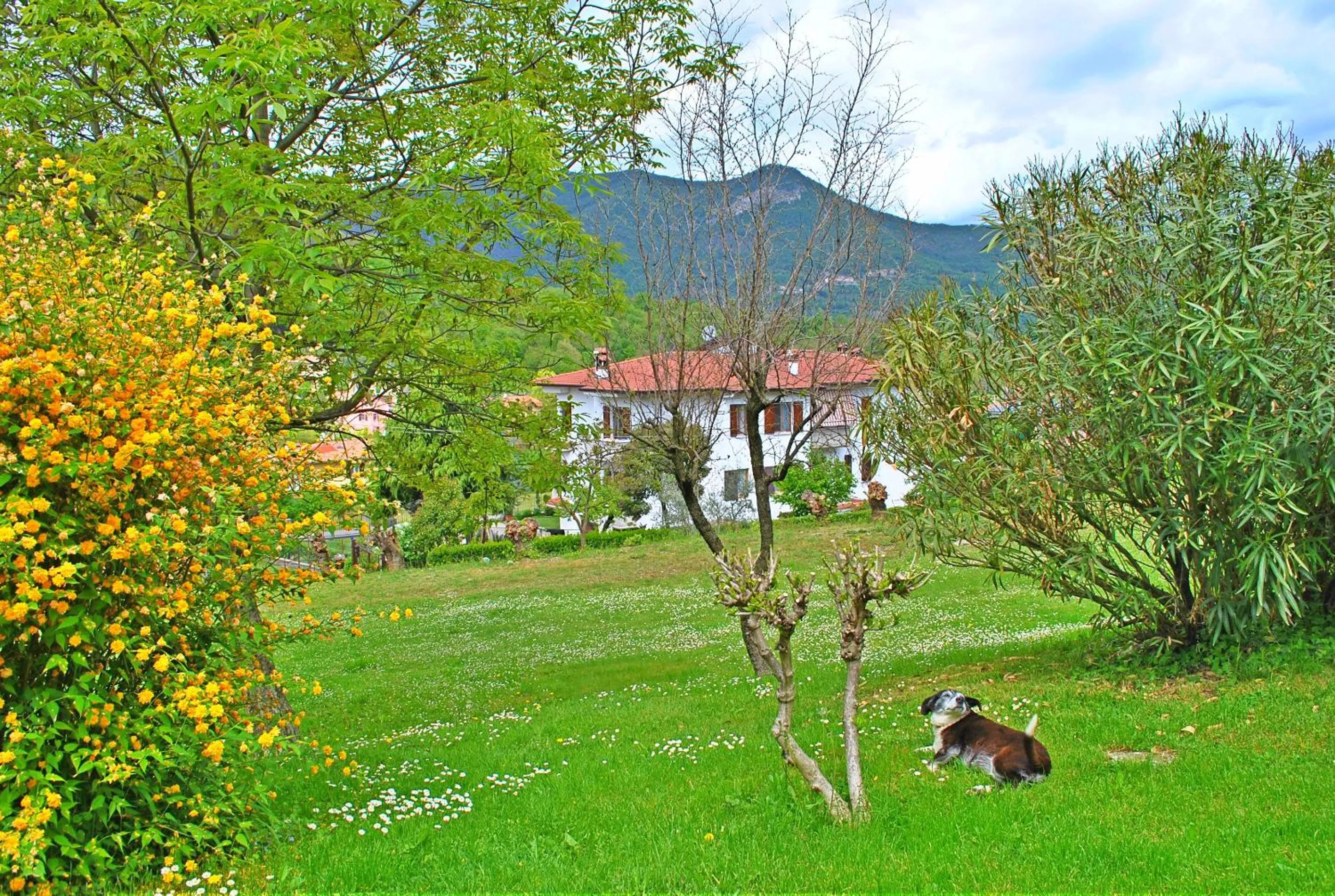 Natural landscape in B&B Marienn