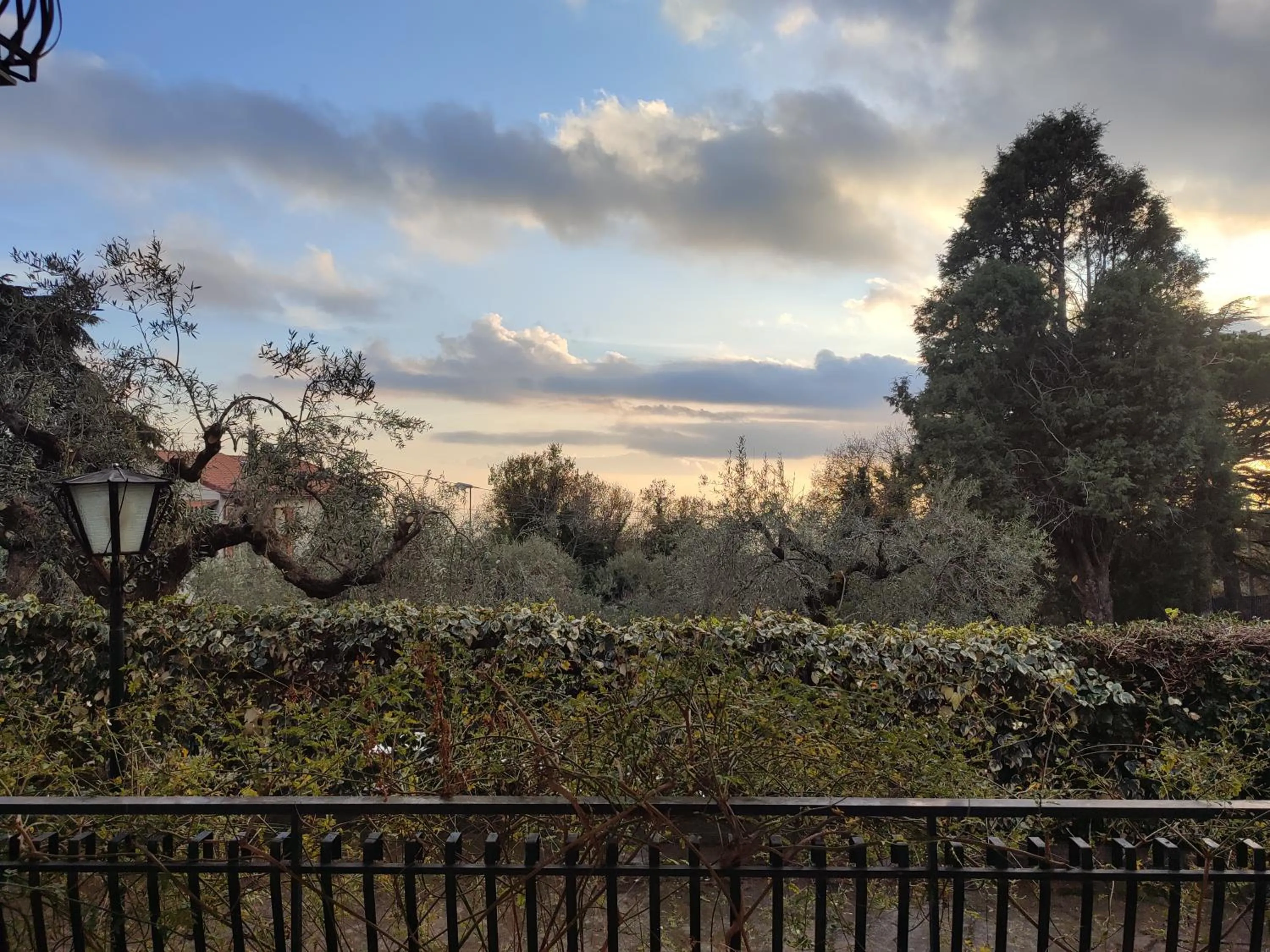 Garden in Casa degli Ulivi Etna