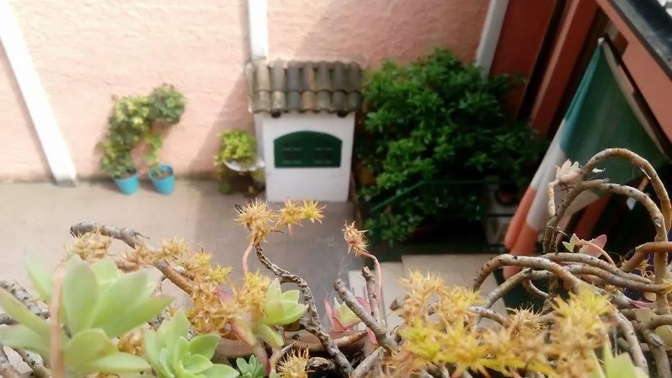 Other in Hotel Greco