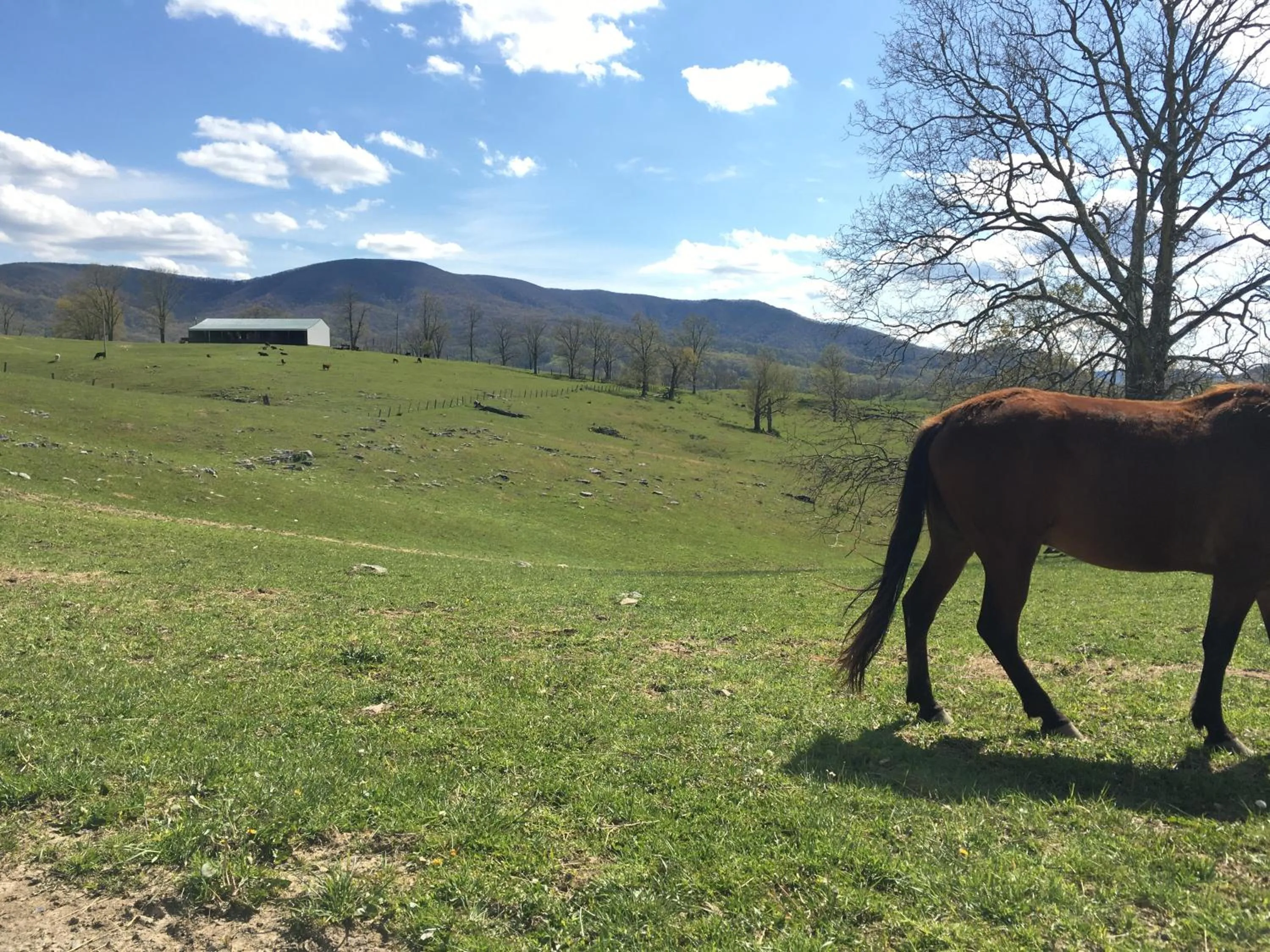 Spring in Budget Inn near WestRock