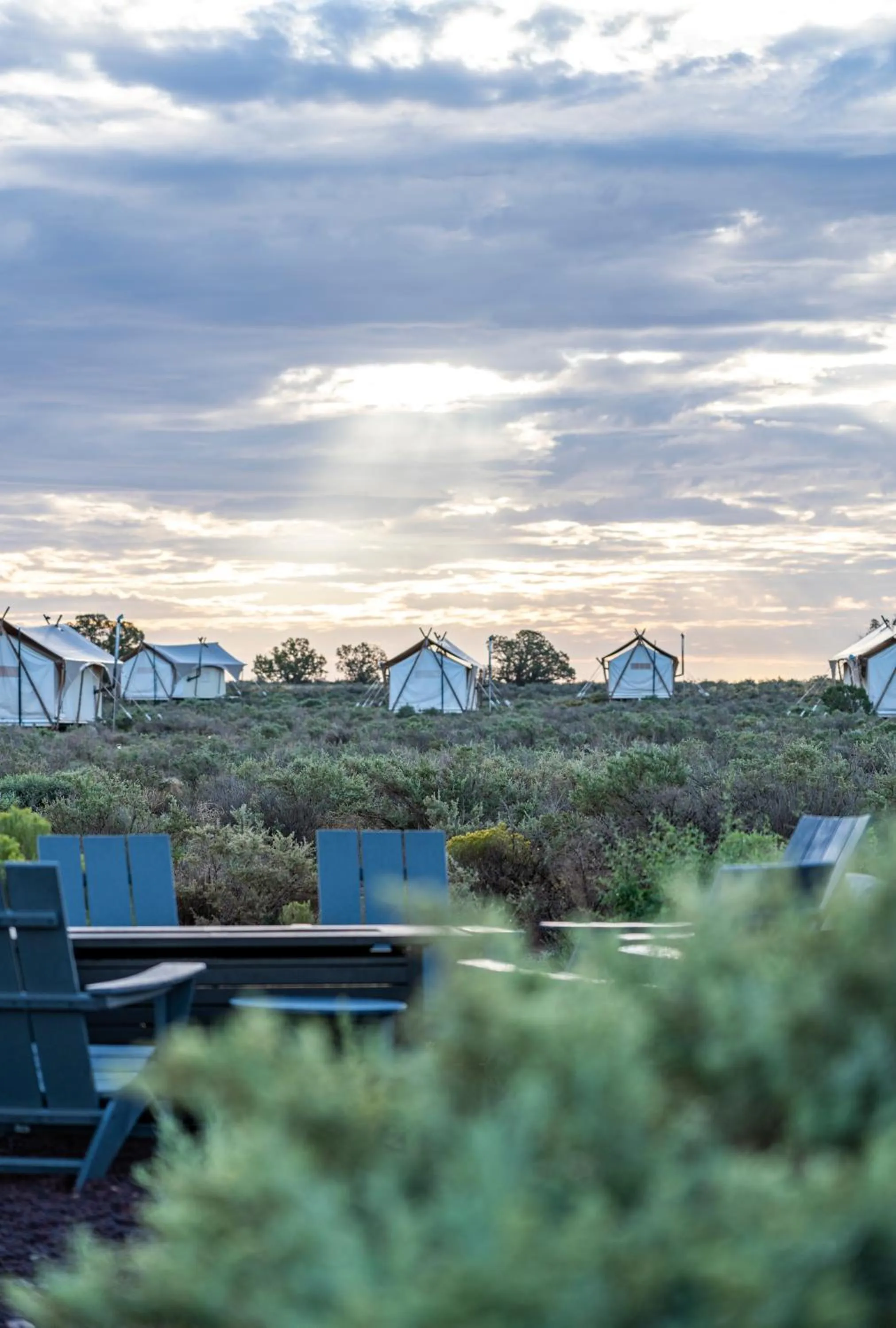 View (from property/room) in Under Canvas Grand Canyon