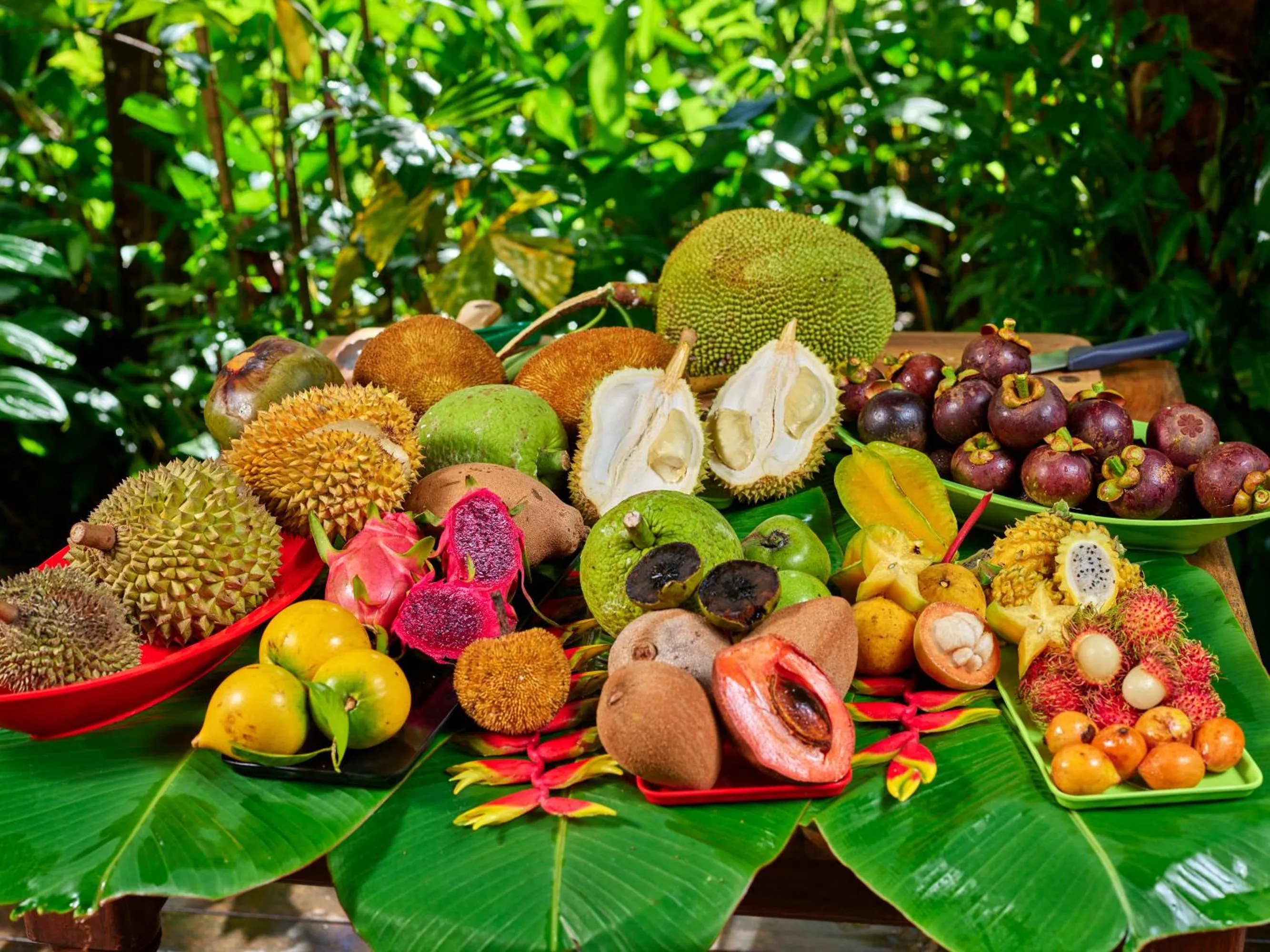 Food in Cape Trib Farm