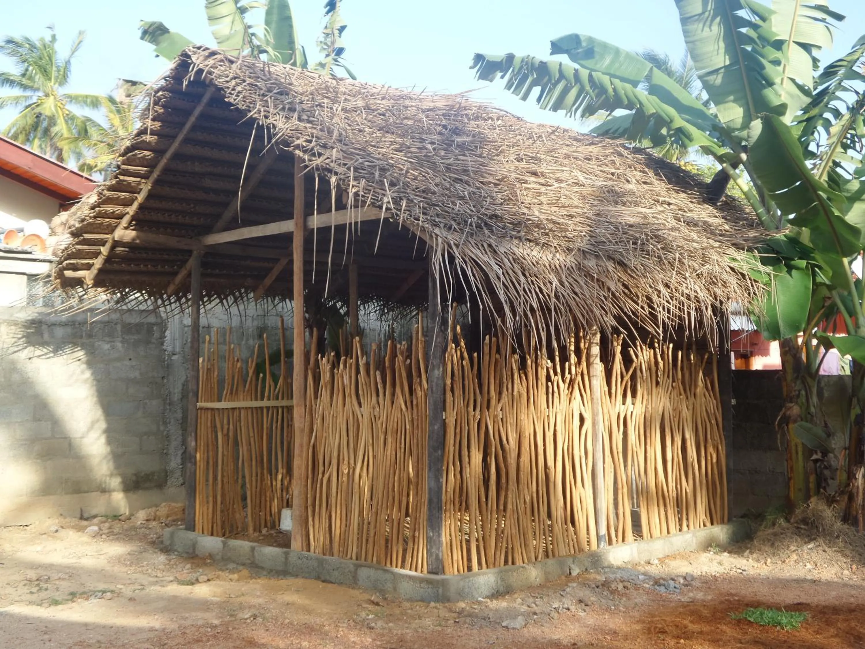Garden in Coralworld Hotel