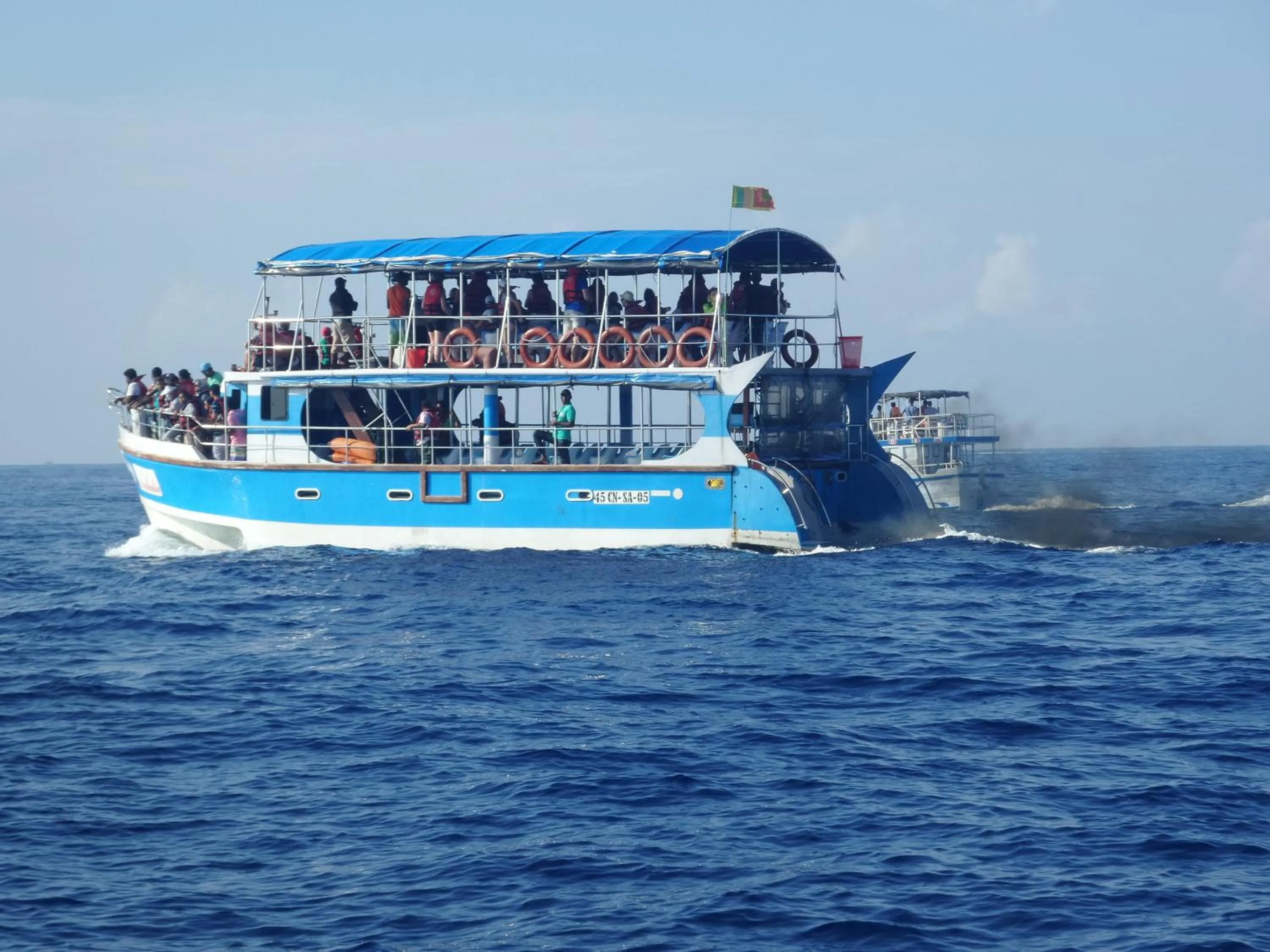 Entertainment in Coralworld Hotel