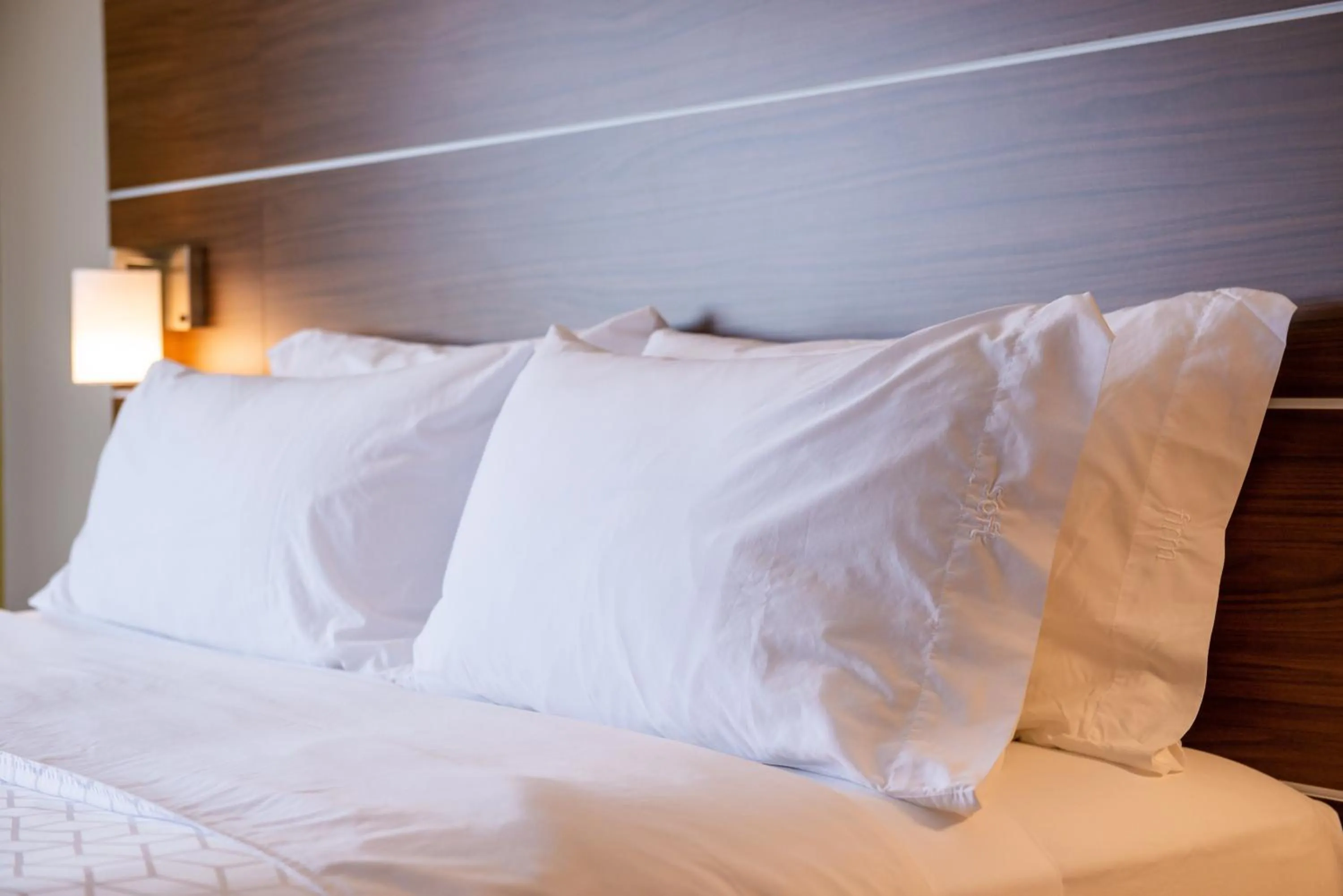 Photo of the whole room, Bed in Holiday Inn Express Hotel & Suites Gunnison by IHG