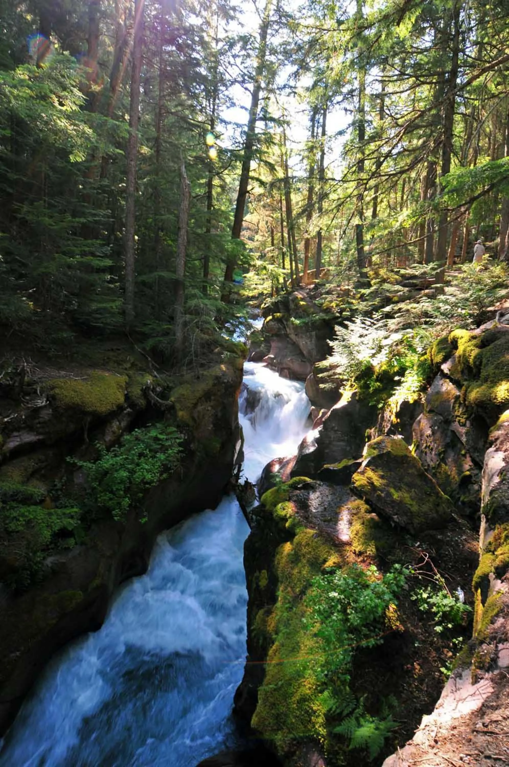 Area and facilities in Holiday Inn Express Hotel & Suites Kalispell by IHG