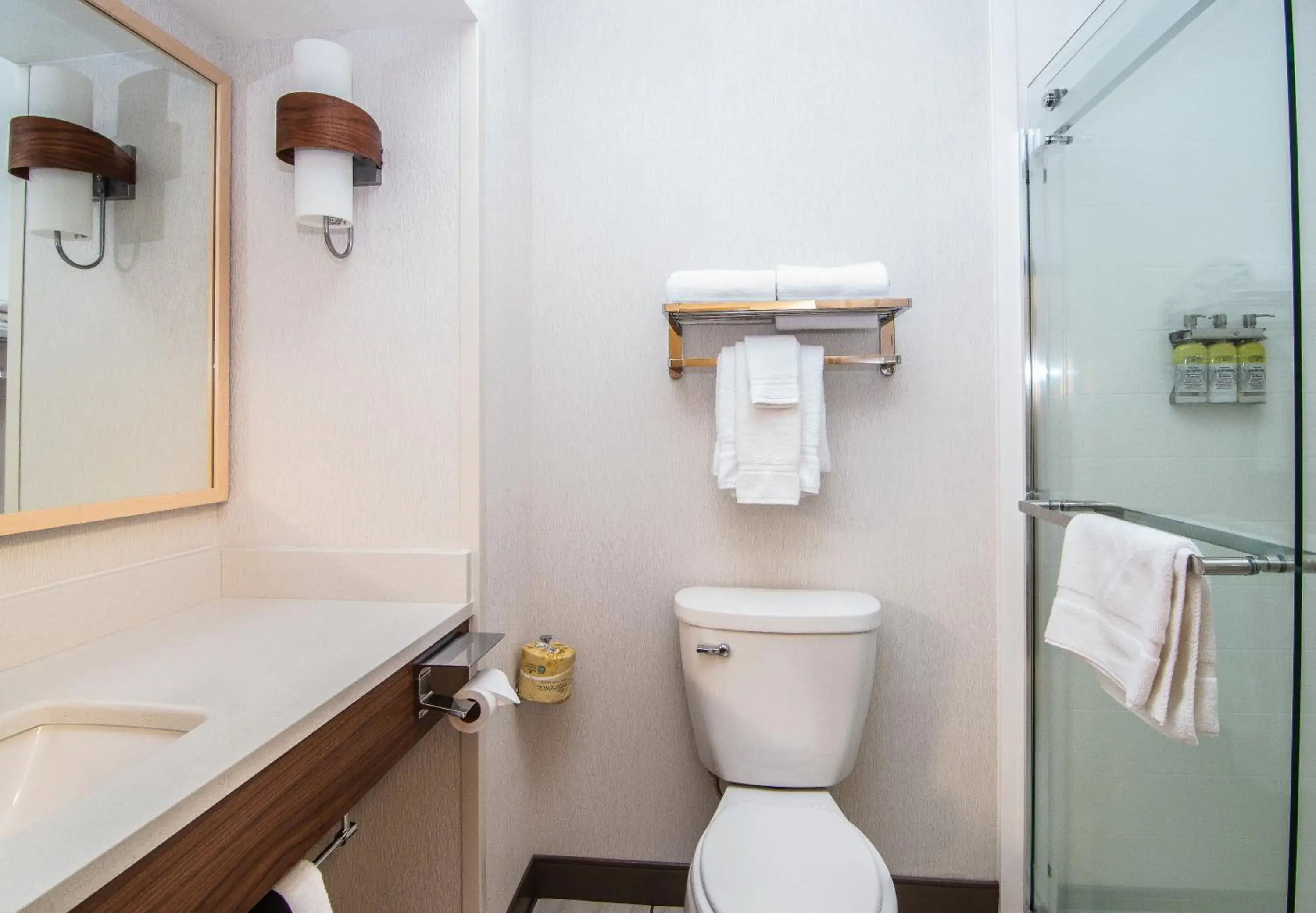 Standard King Room with Walk-In Shower in Holiday Inn Express Hotel & Suites Kalispell by IHG Standard King Room with Walk-In Shower in Holiday Inn Express Hotel & Suites Kalispell by IHG