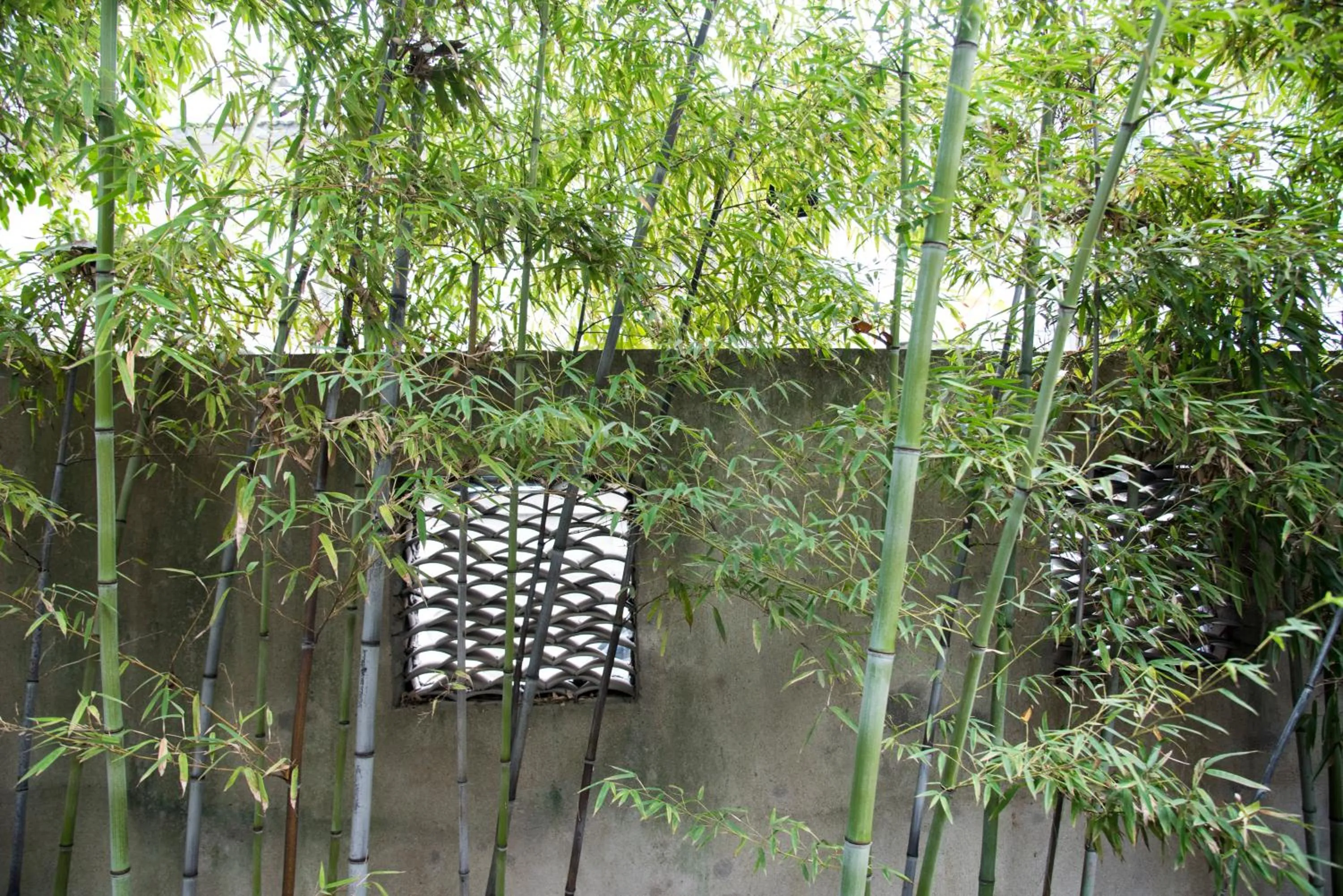 Jingdezhen International Youth Hostel