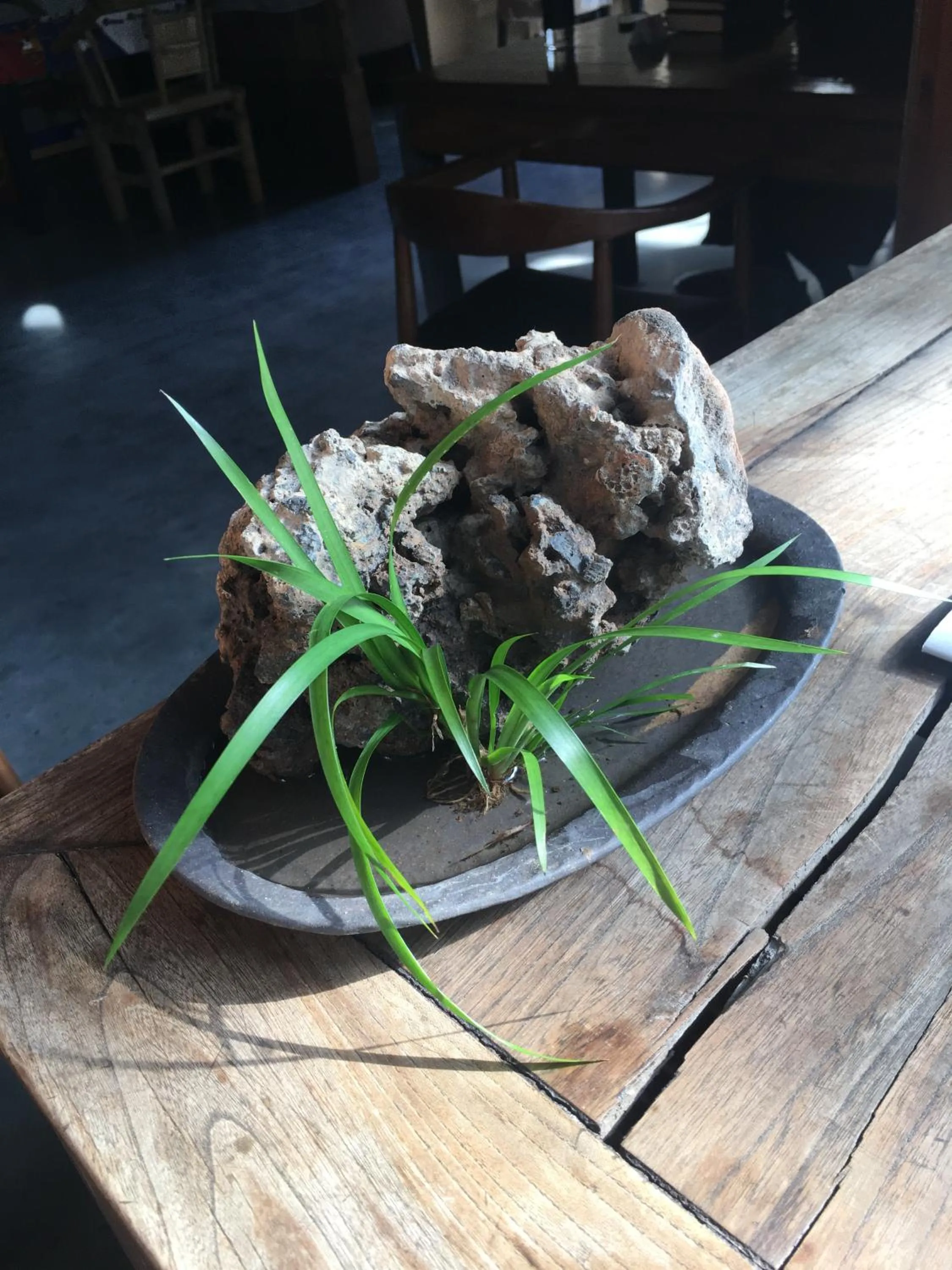 Lobby or reception in Jingdezhen International Youth Hostel