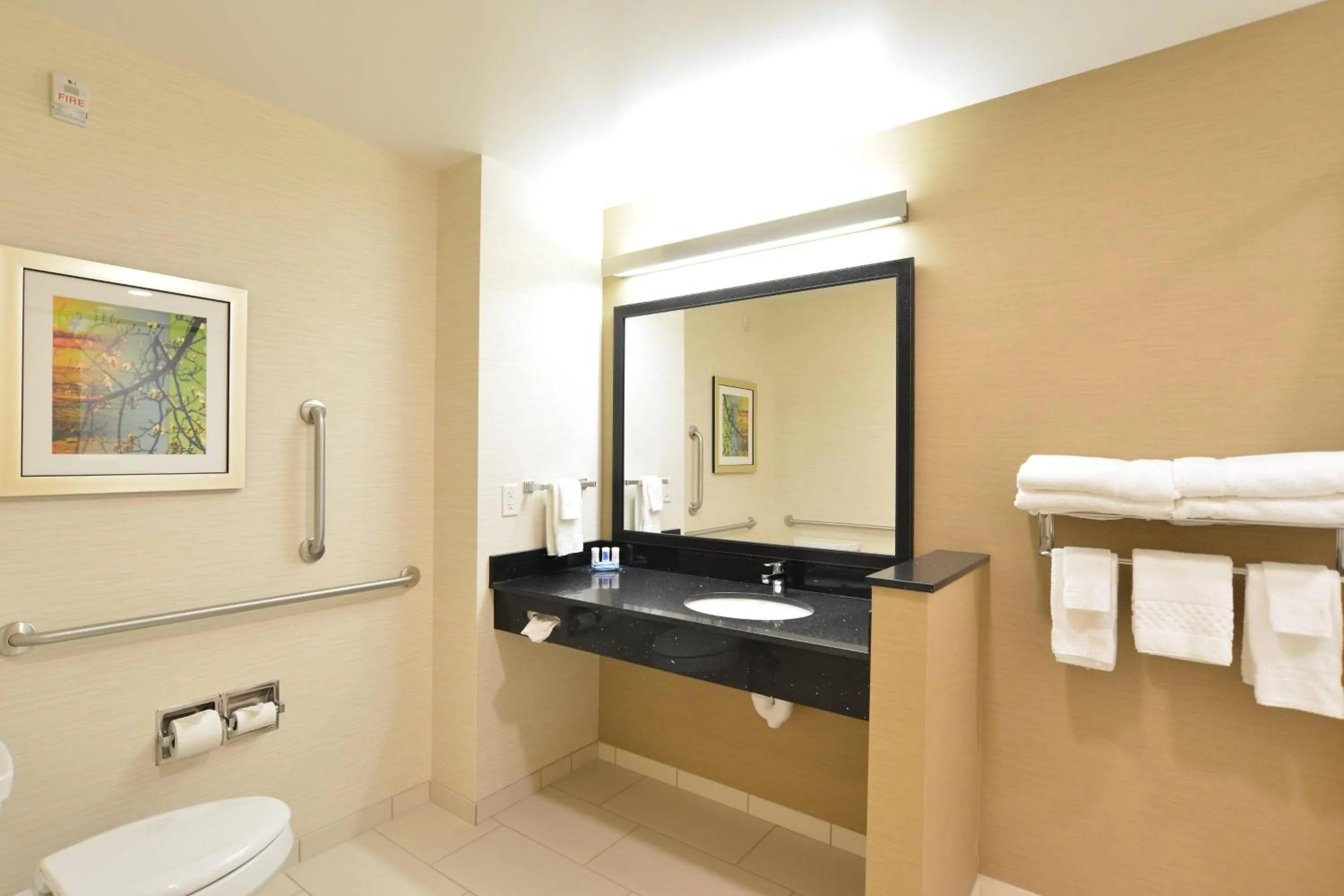 Bathroom in Fairfield Inn & Suites by Marriott Eau Claire/Chippewa Falls
