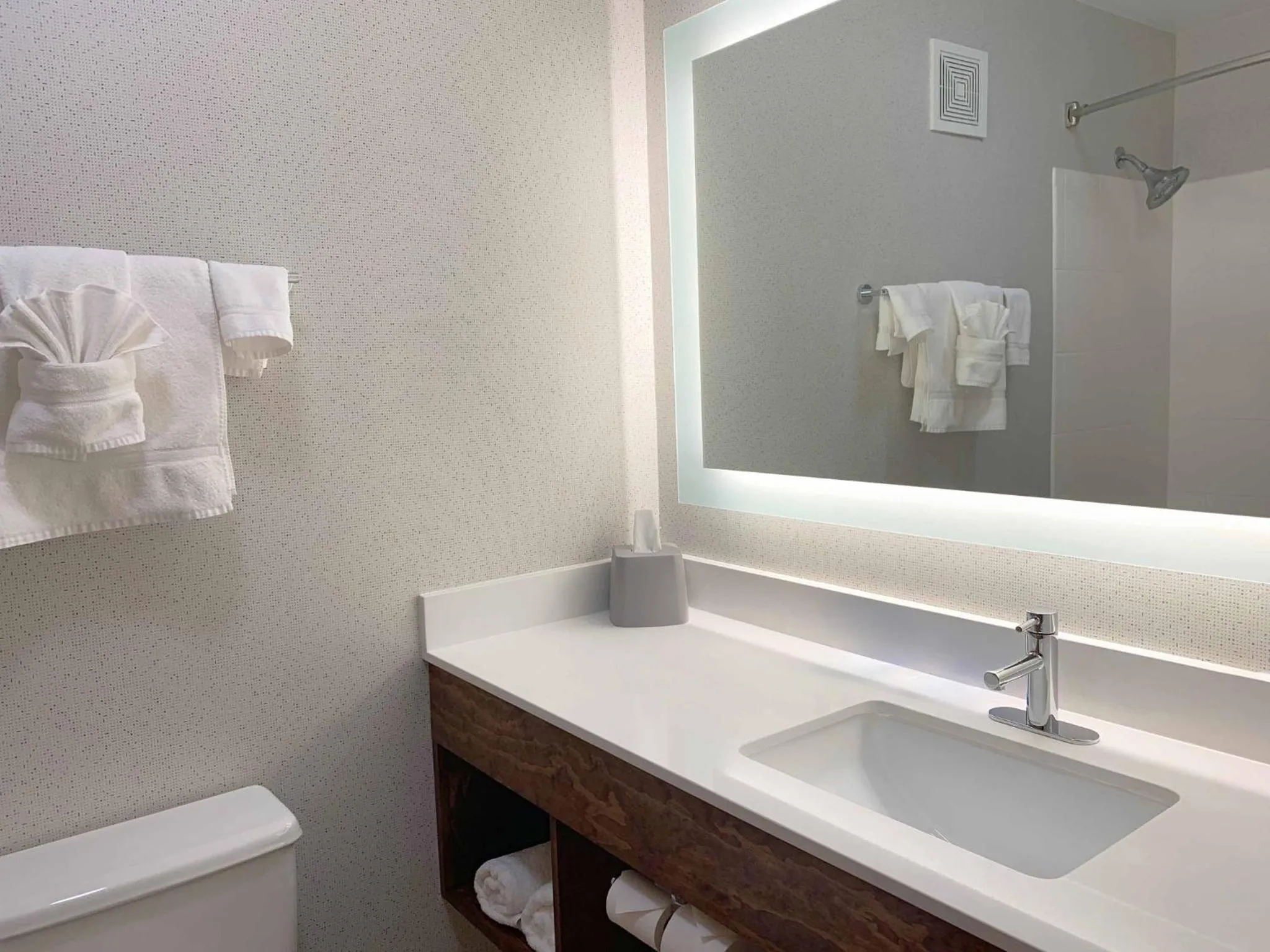 Bathroom in Holiday Inn Express Danville by IHG