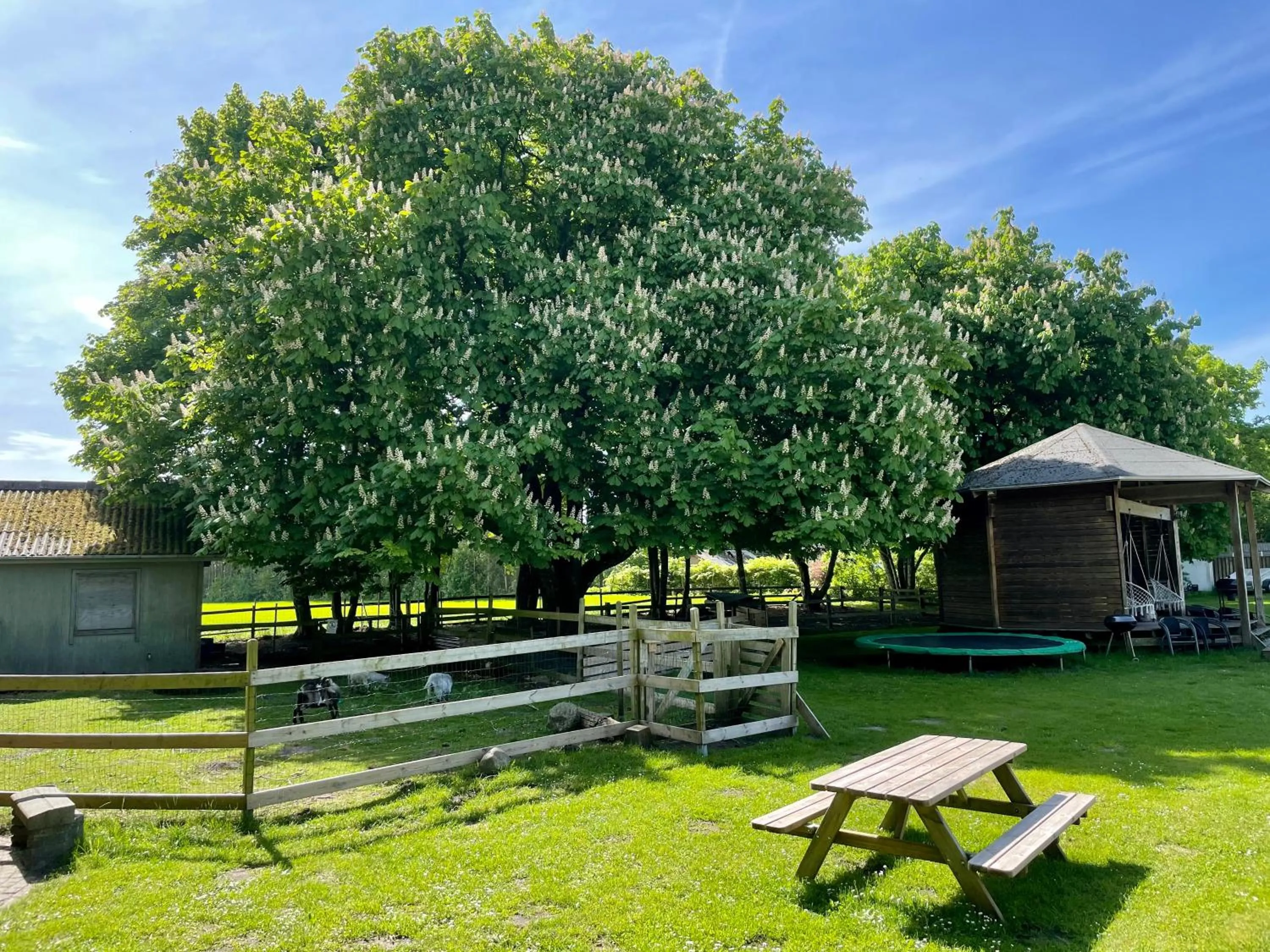 Garden in Hestkær Family Rooms