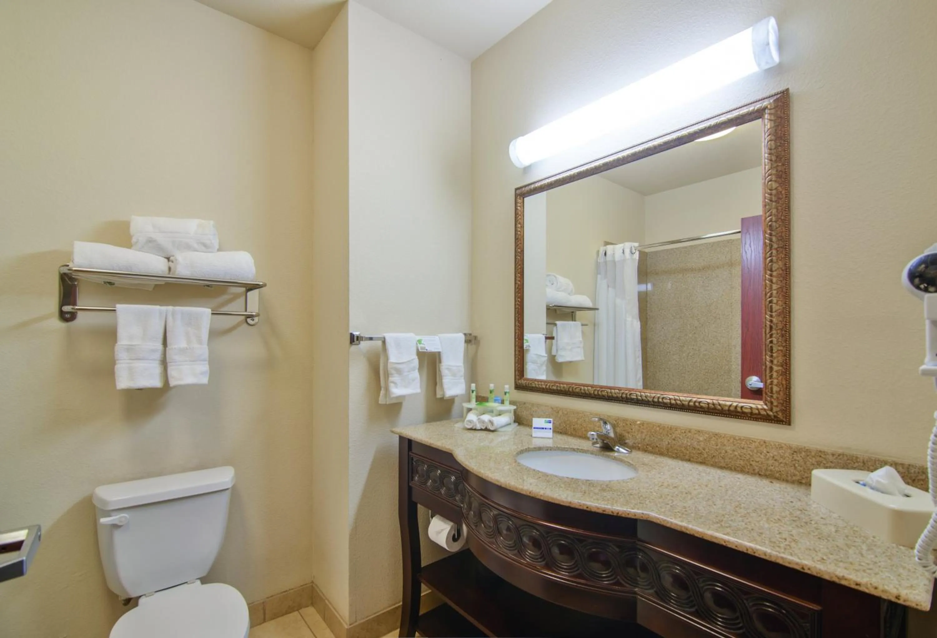 Bathroom in Holiday Inn Express Hotel & Suites Terrell by IHG