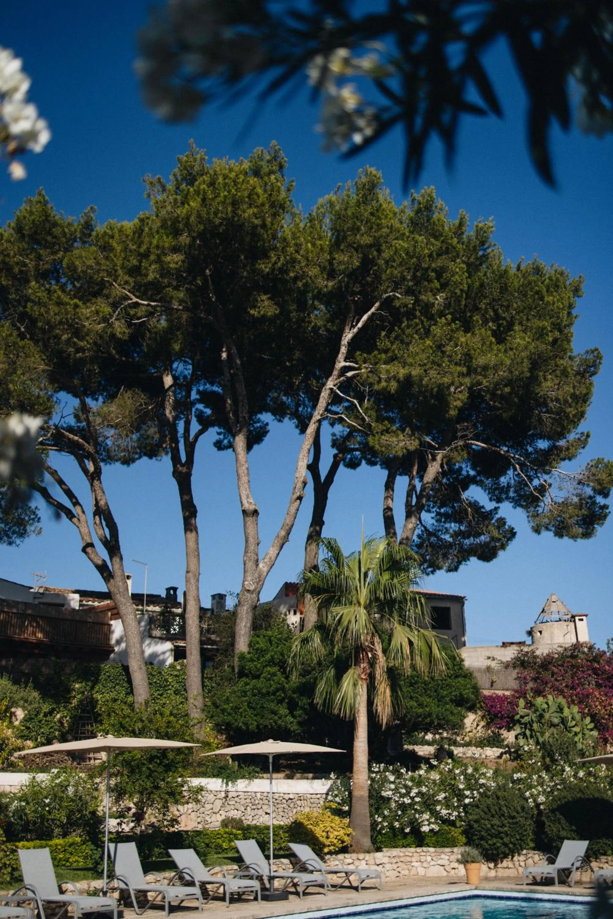 Can Moio Turismo de Interior