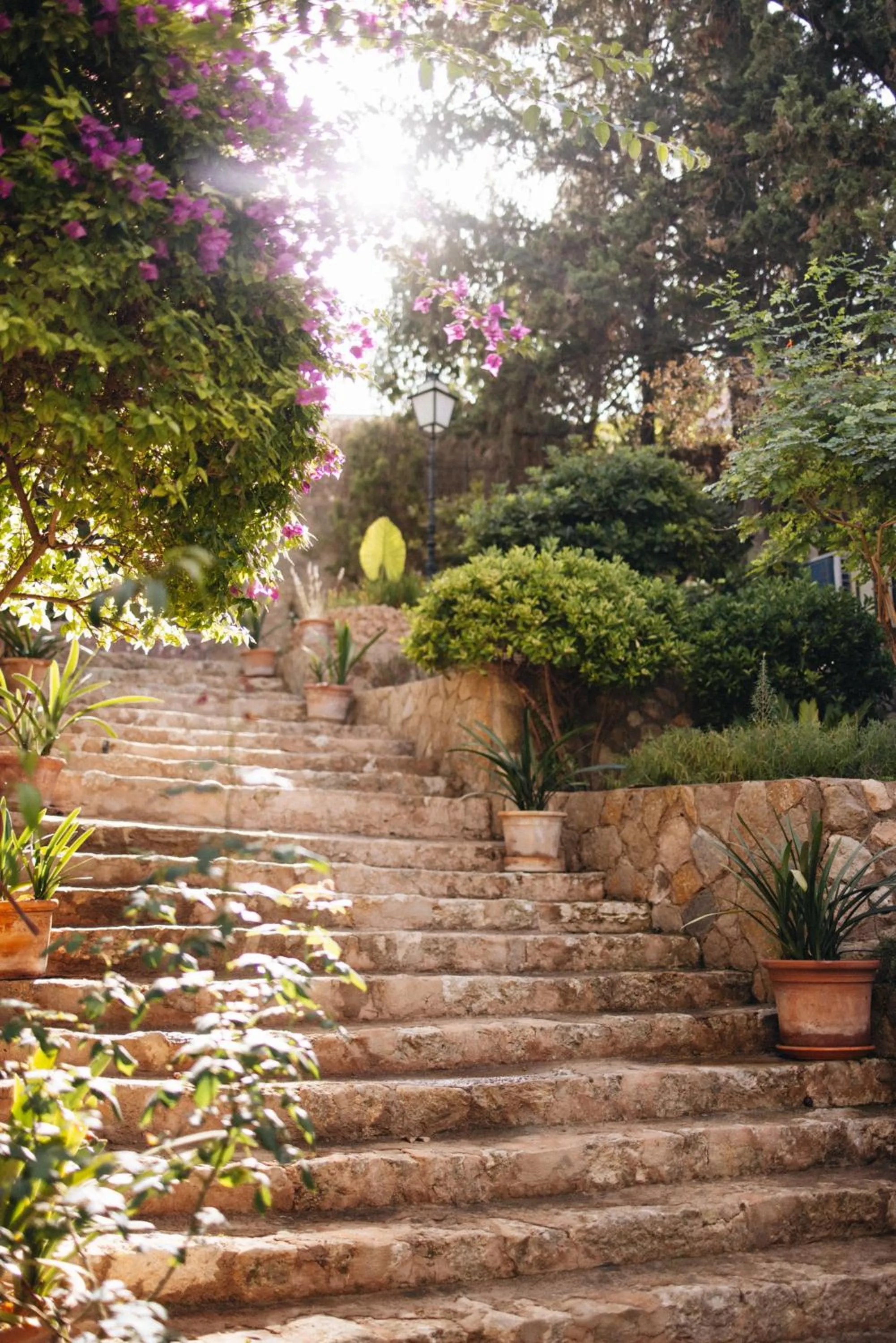 Can Moio Turismo de Interior