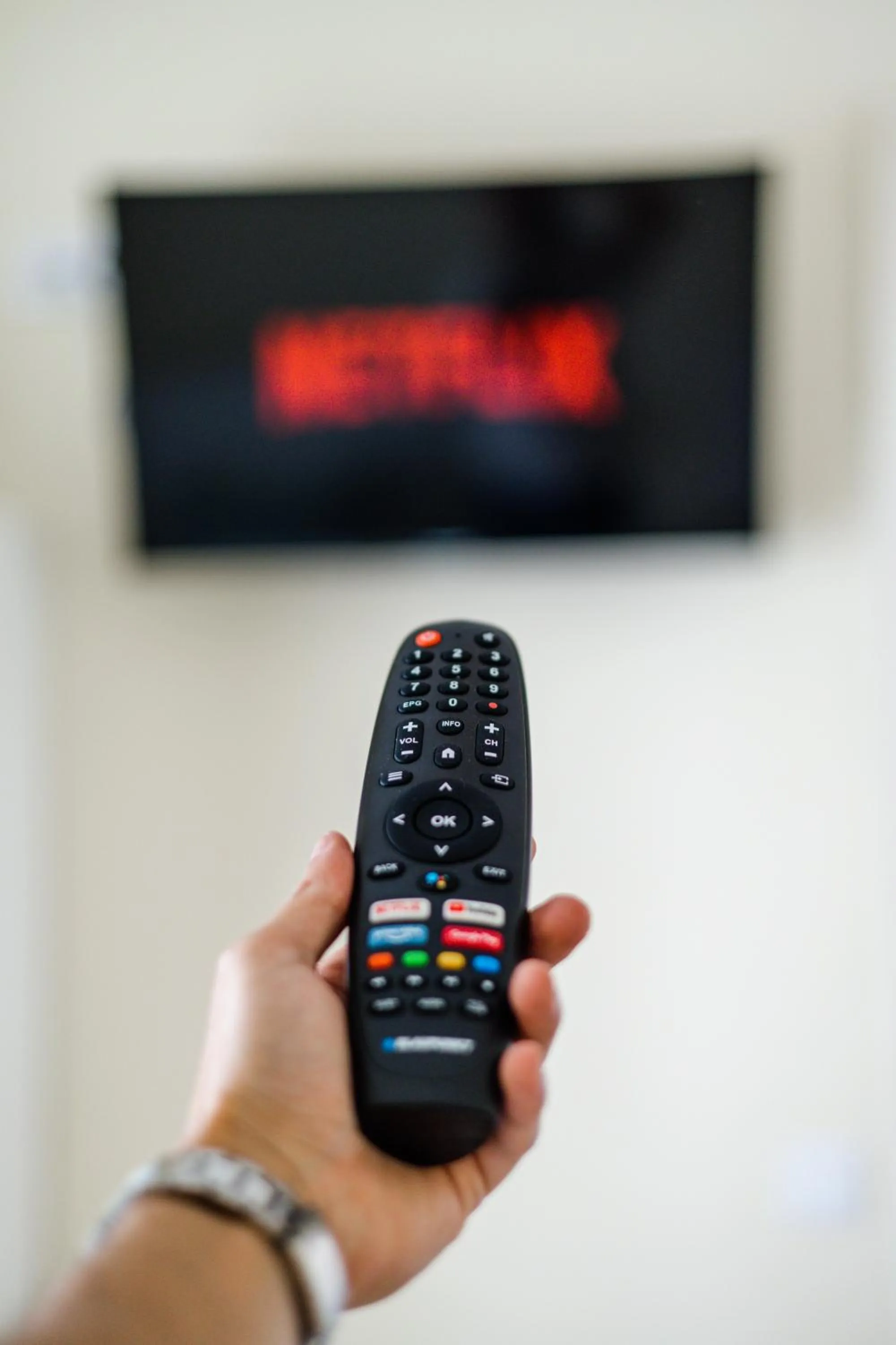 TV and multimedia in Green Coast Surf House