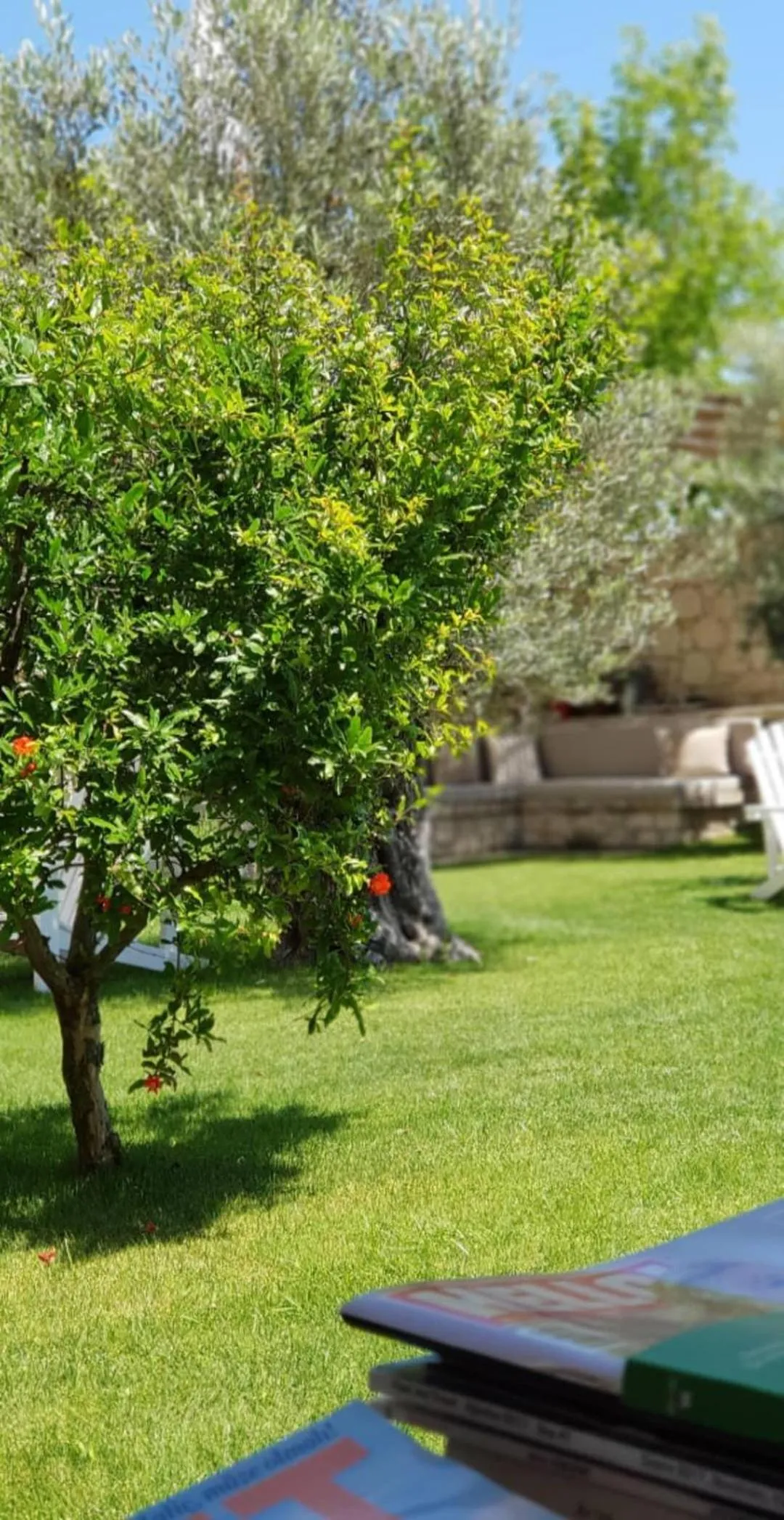 Garden in Peremere Alacati Otel