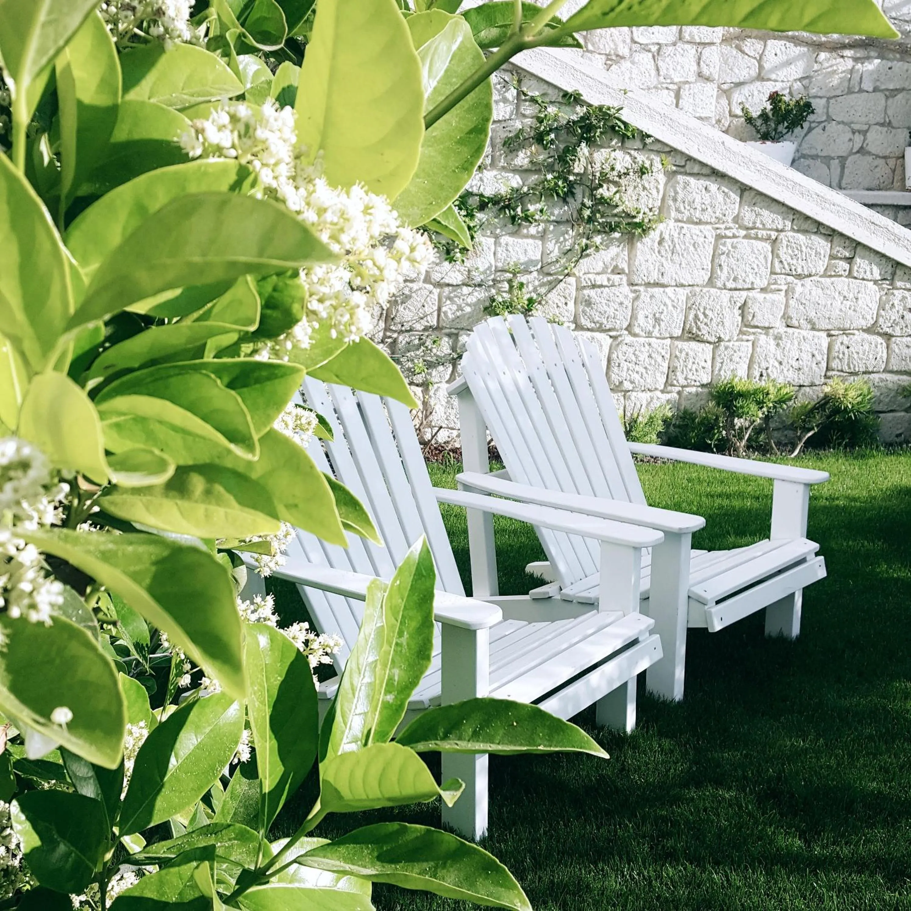 Garden in Peremere Alacati Otel
