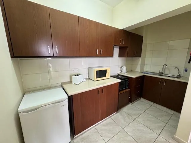 Kitchen or kitchenette in Kefalonitis Hotel Apartments
