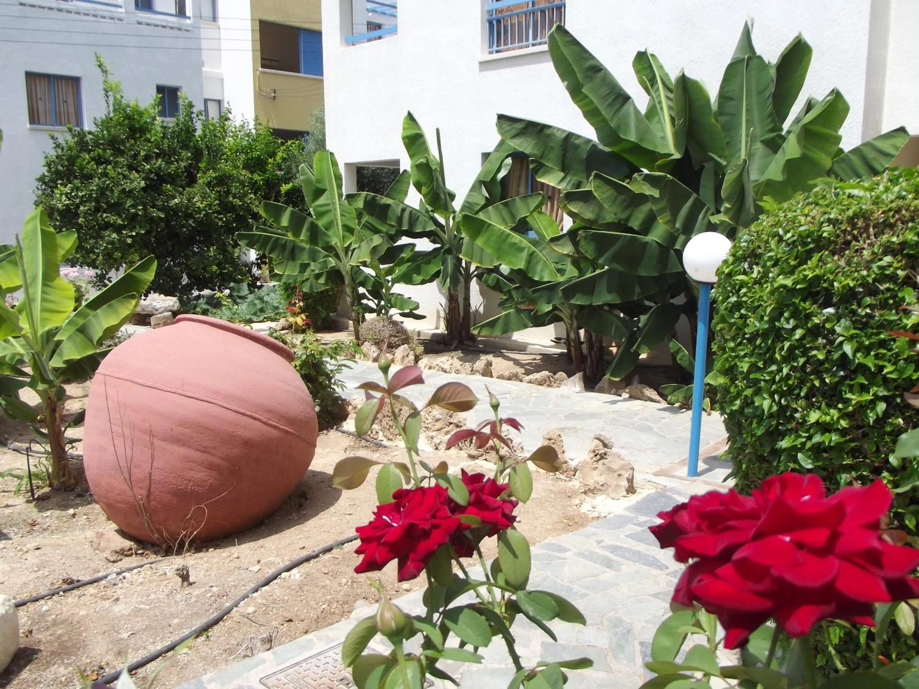 Garden in Kefalonitis Hotel Apartments