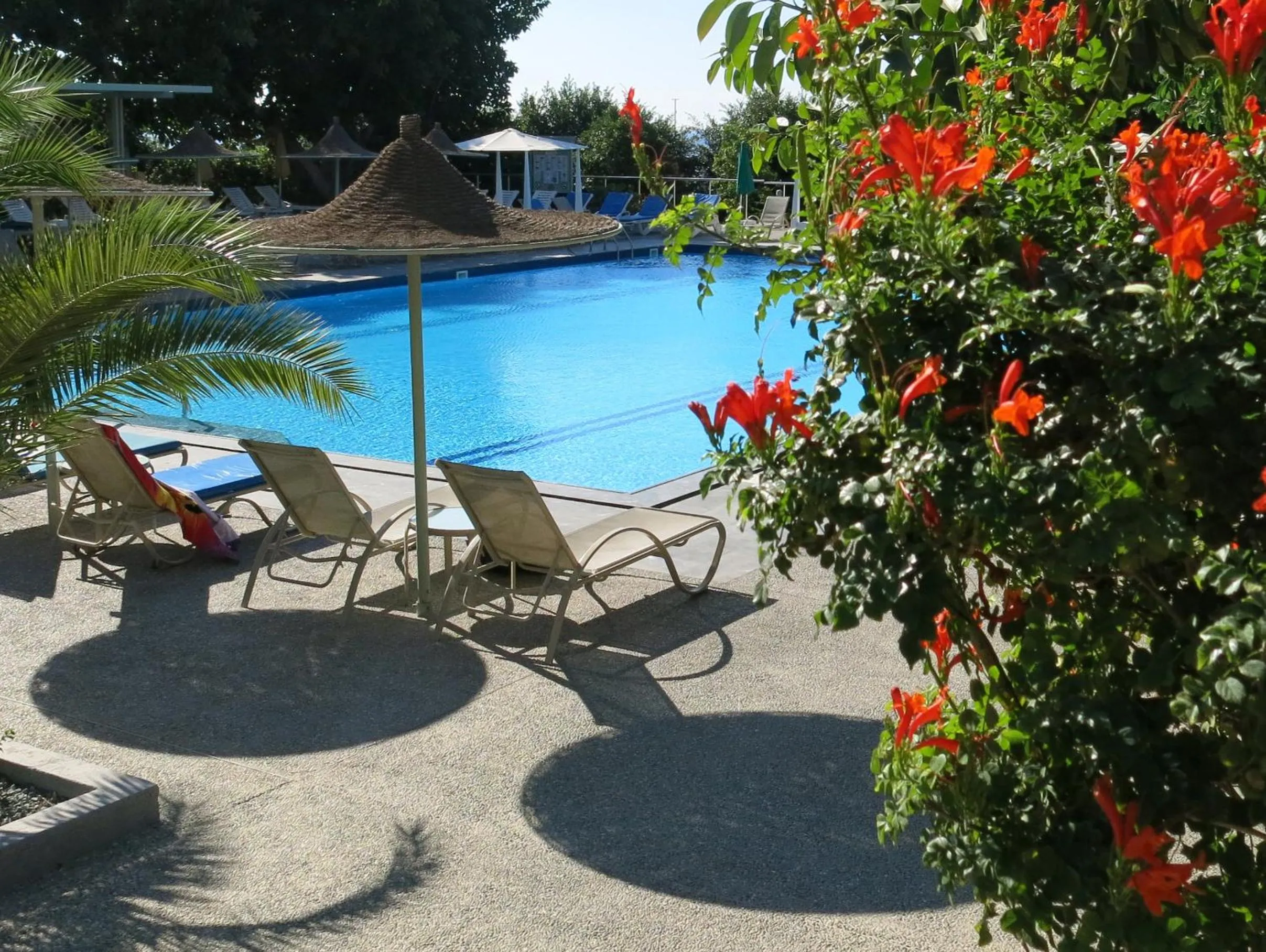 Swimming pool in Marina Hotel