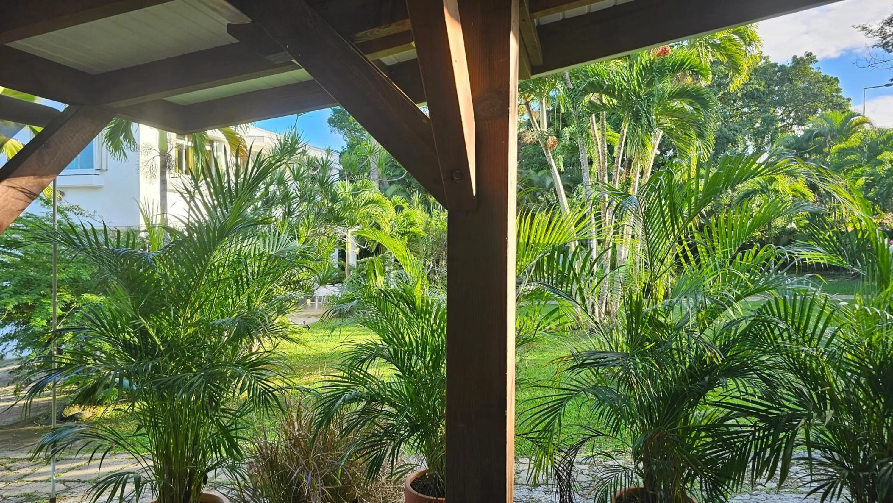 Natural landscape in Habitation Villa Les Cassias