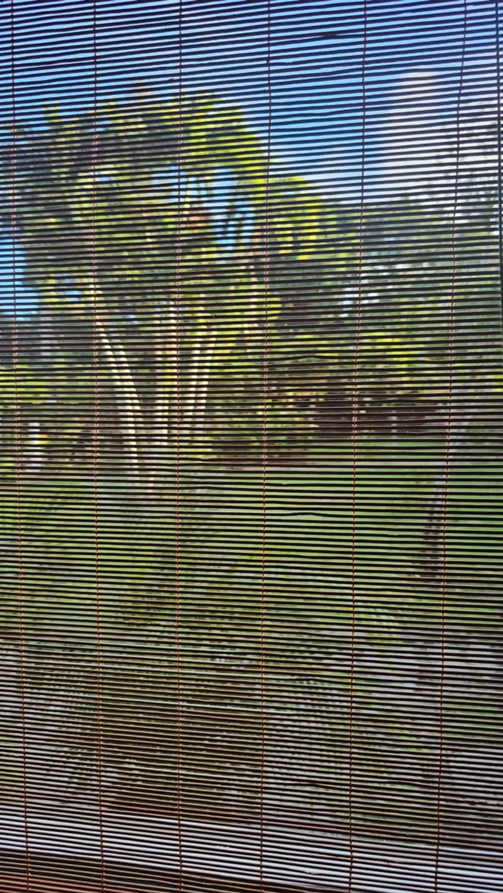 Garden view in Habitation Villa Les Cassias