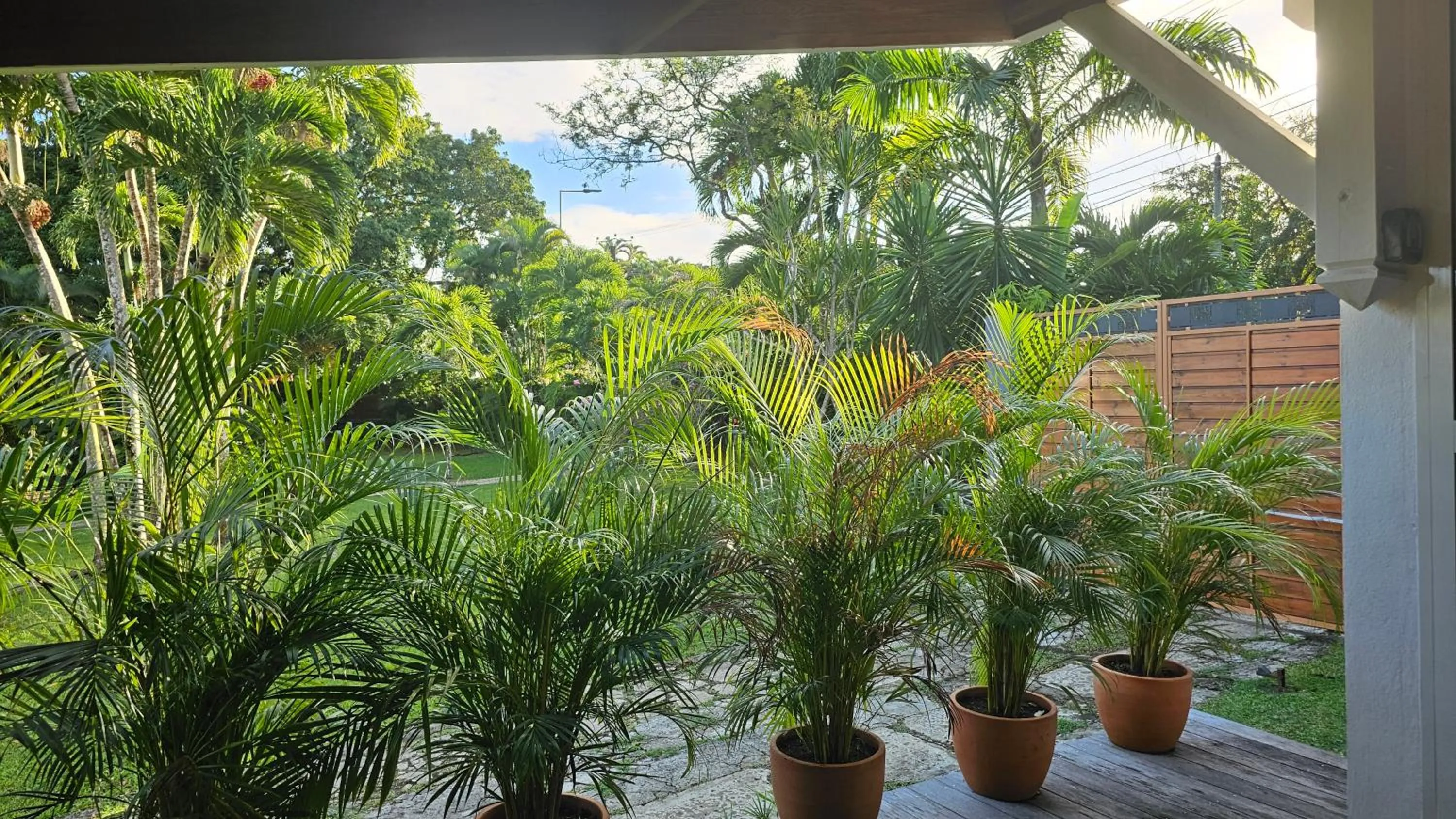 Garden view in Habitation Villa Les Cassias