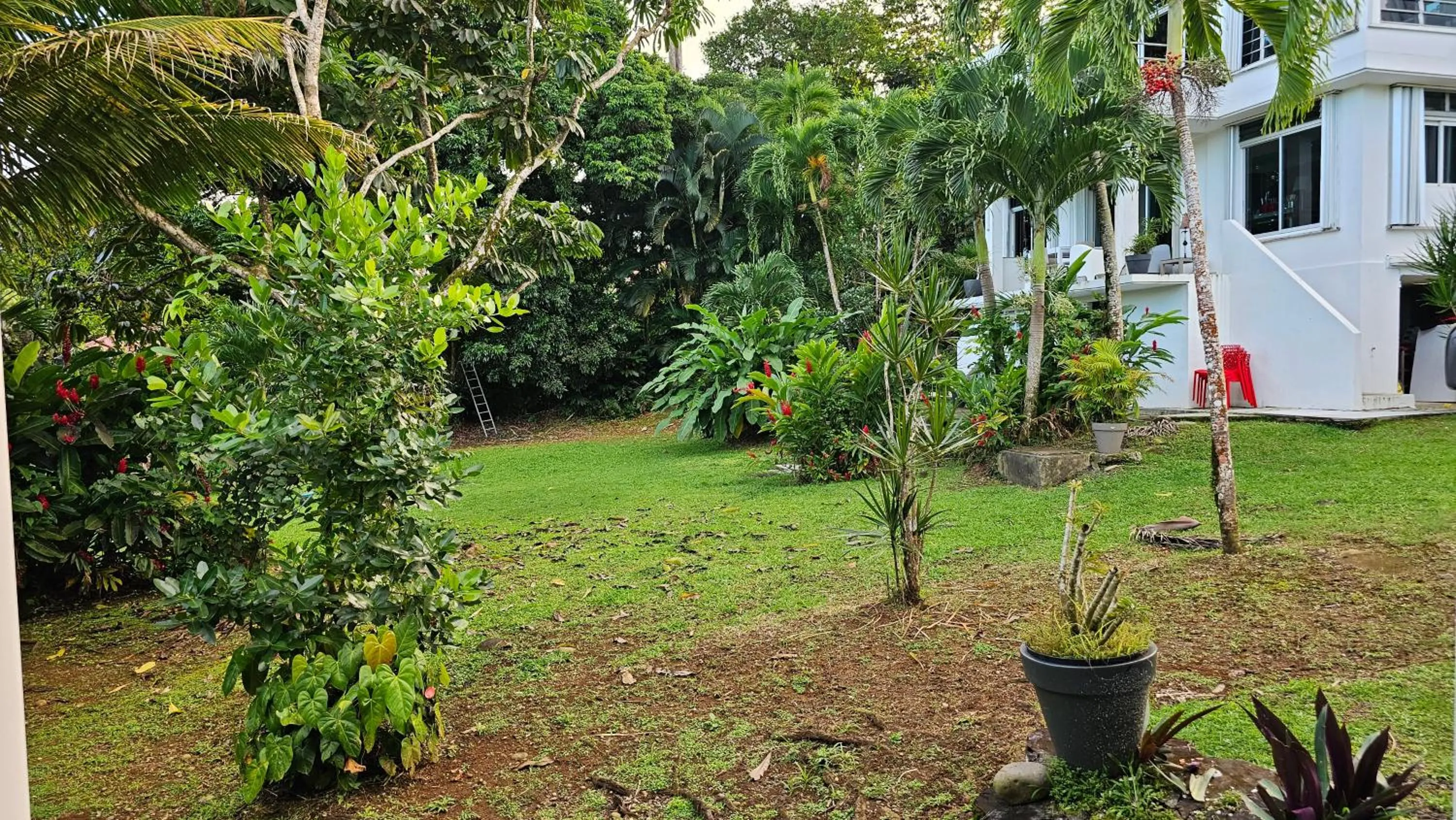Garden view in Habitation Villa Les Cassias