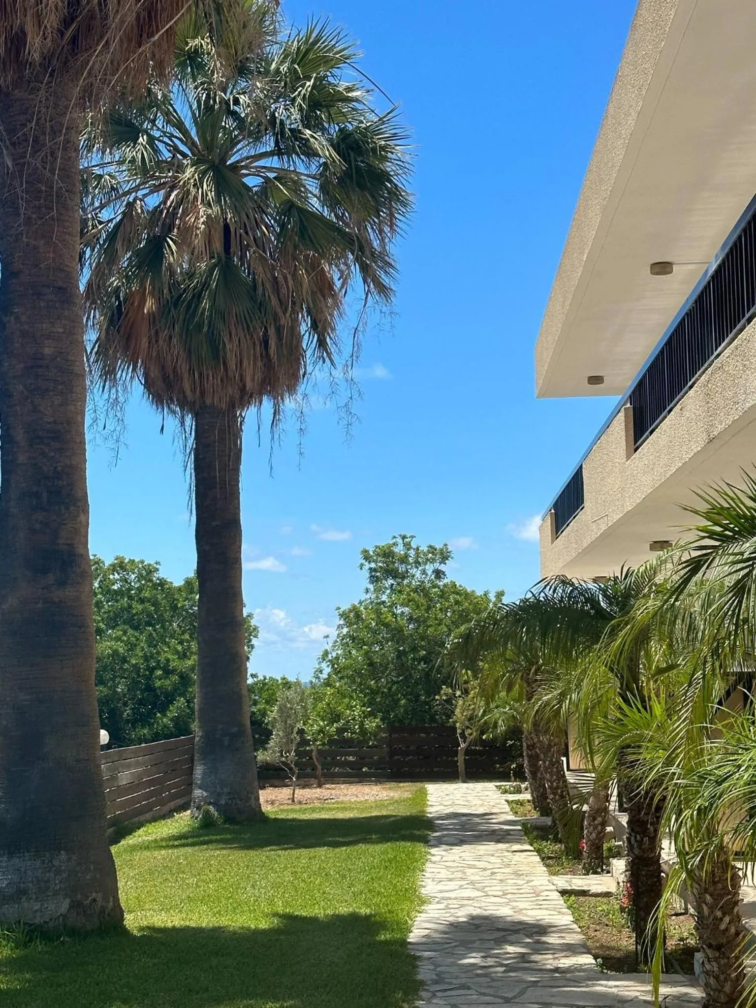 Garden in Anna Hotel Apartments